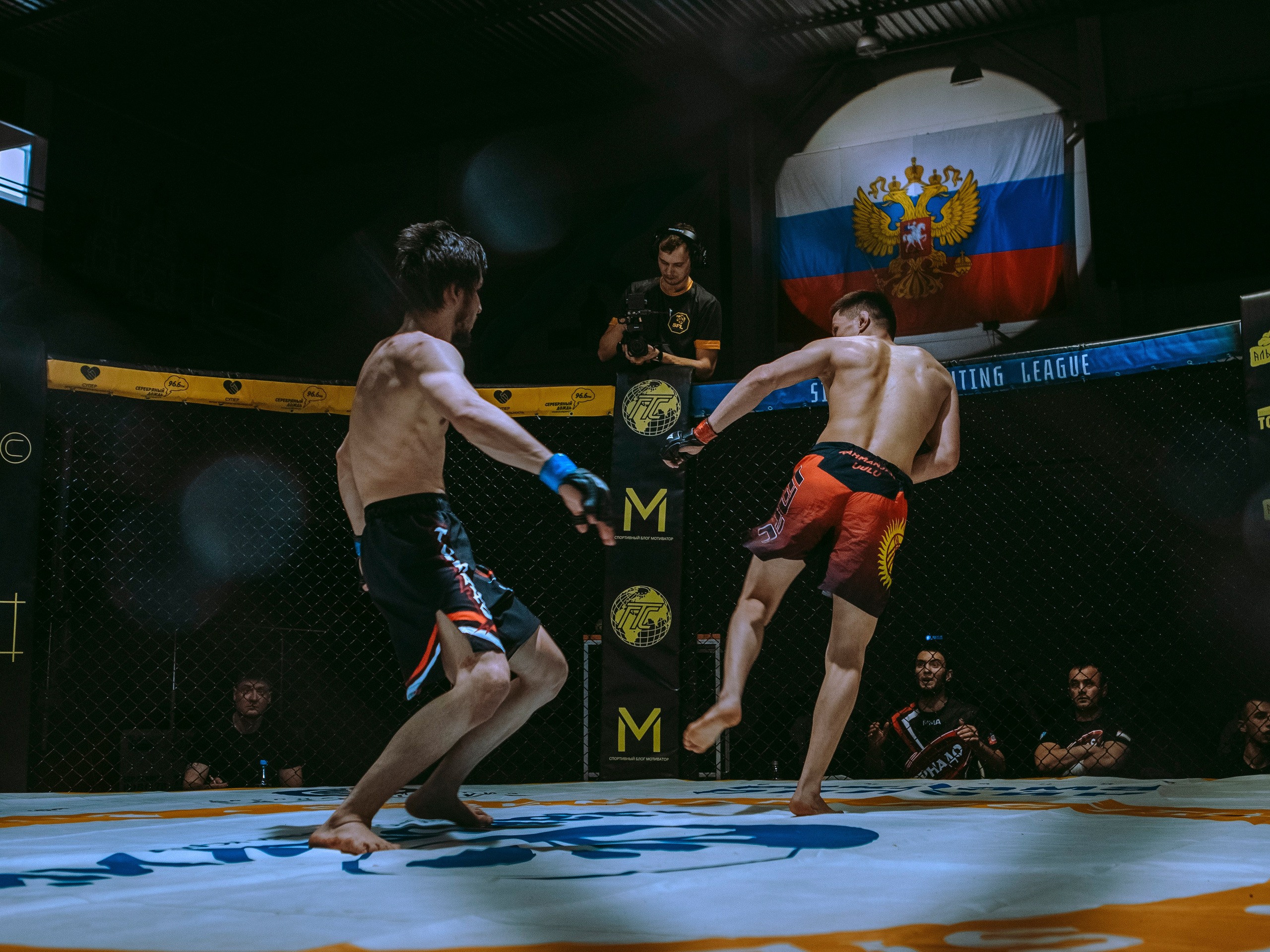 SFL 17 | Siberian Fighting League. Портретный фотограф в Москве Дарья Цезария