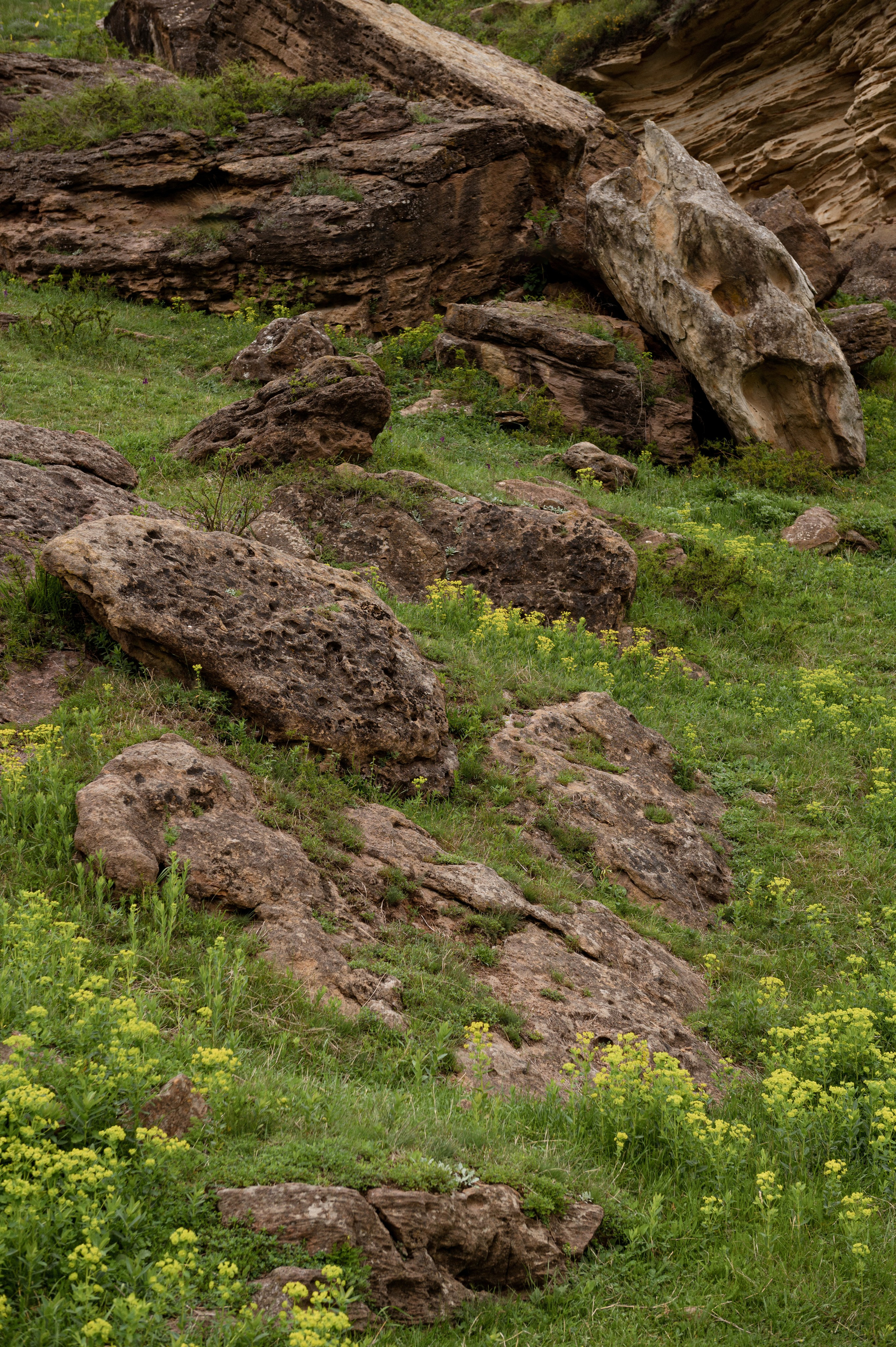 Горы. Свадебный фотограф в Санкт-Петербурге, Москве, СПб Сергей Поддубный