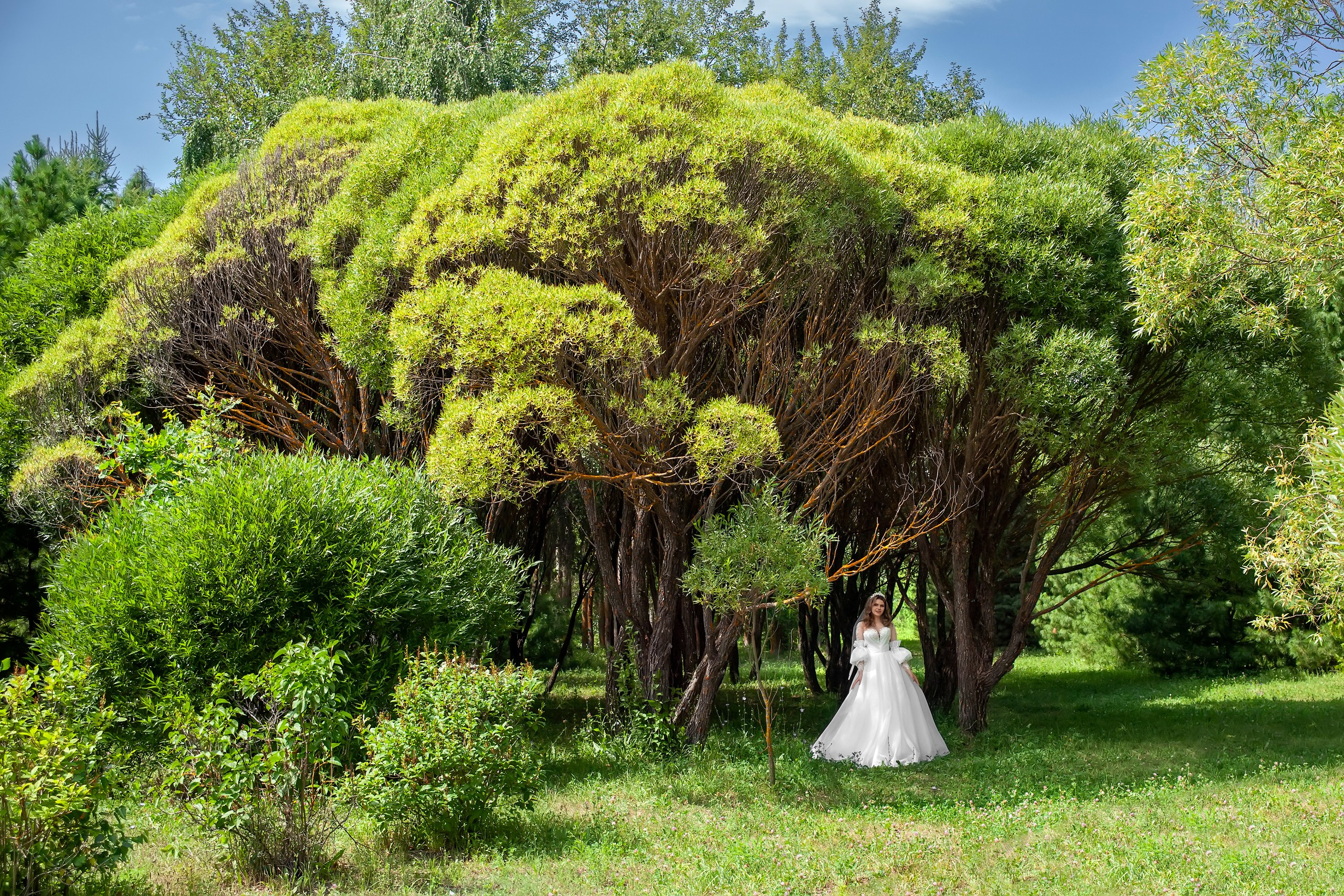 дендрарий города Ульяновск в летний период - отличное место для проведения свадебных фотосессий