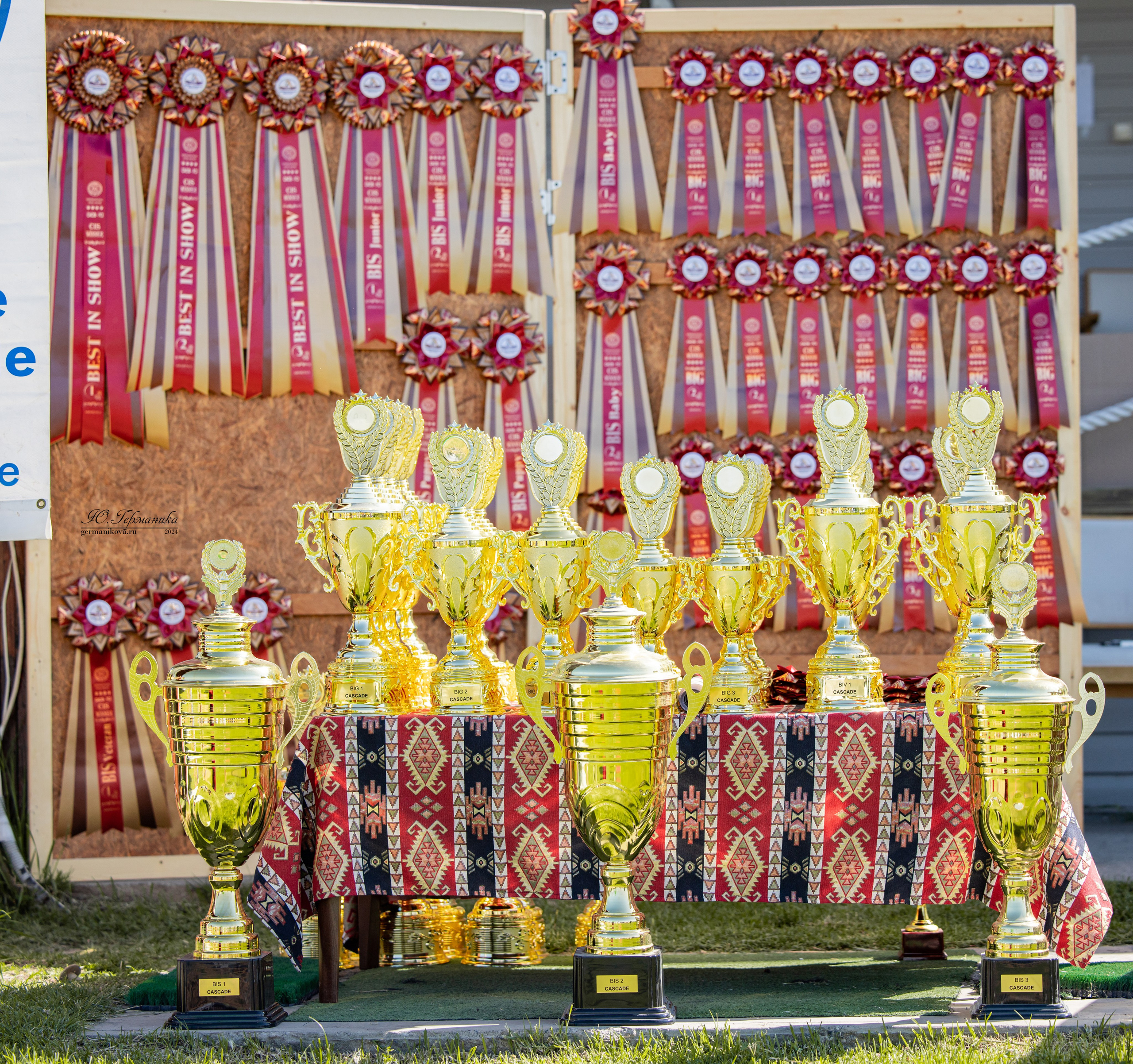 Ереван 3-5.06.2024. Фотограф-анималист Юлия Германика