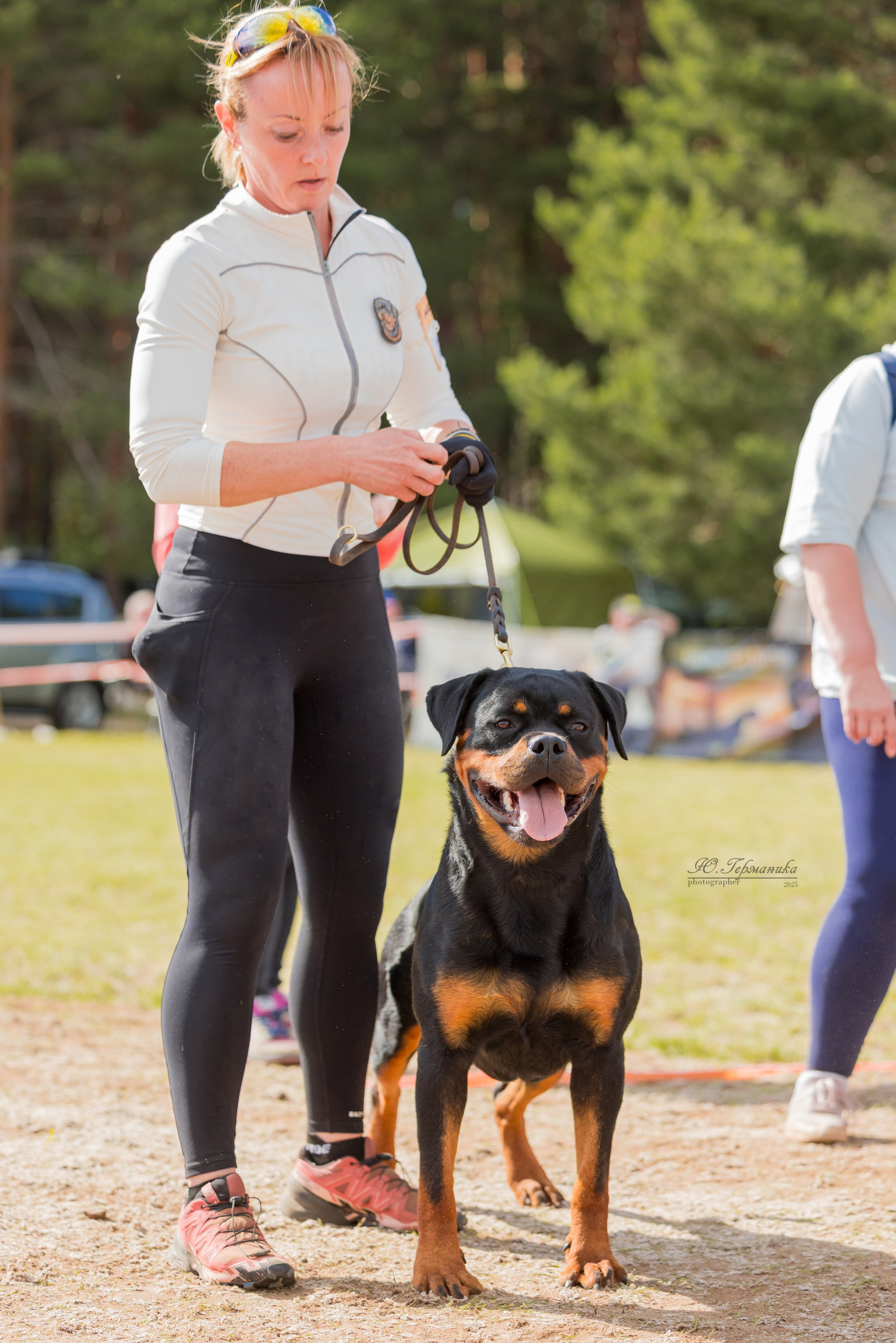 Тверь ротвейлеры 5-6.07.2025. Фотограф-анималист Юлия Германика