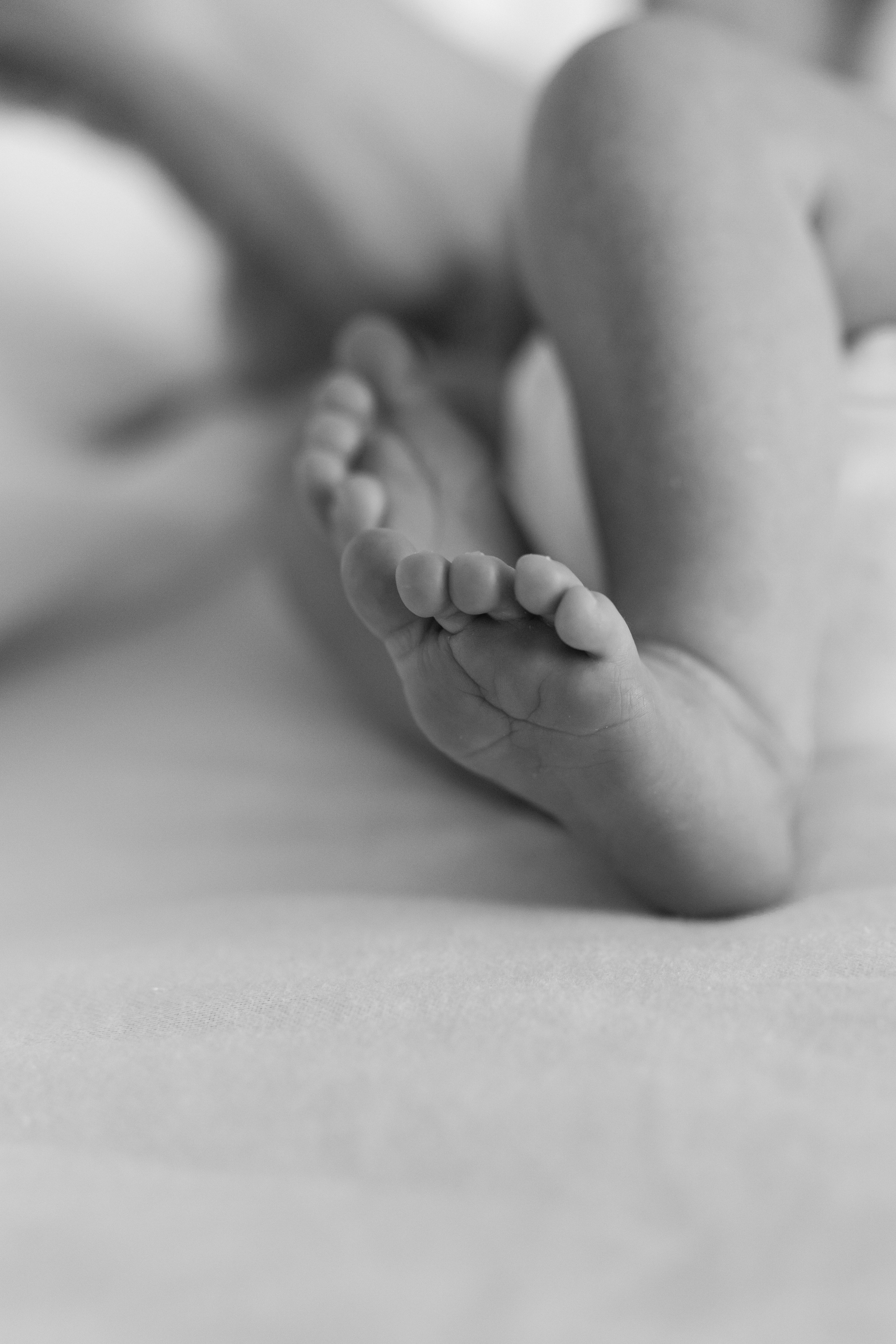 Family. Свадебный фотограф Нижний Новгород