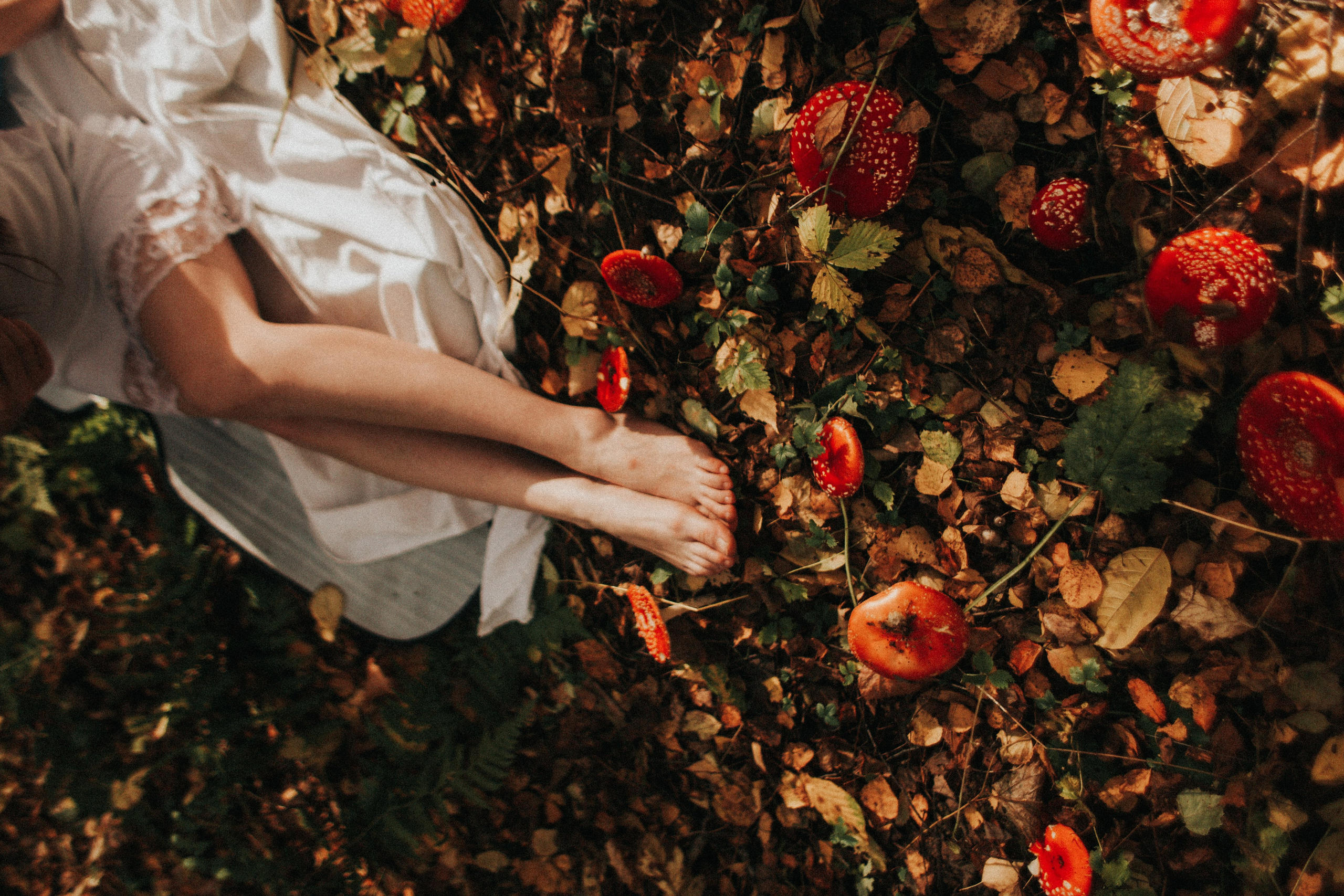 Алина. Мухоморы. Фотограф в Нижнем Новгороде