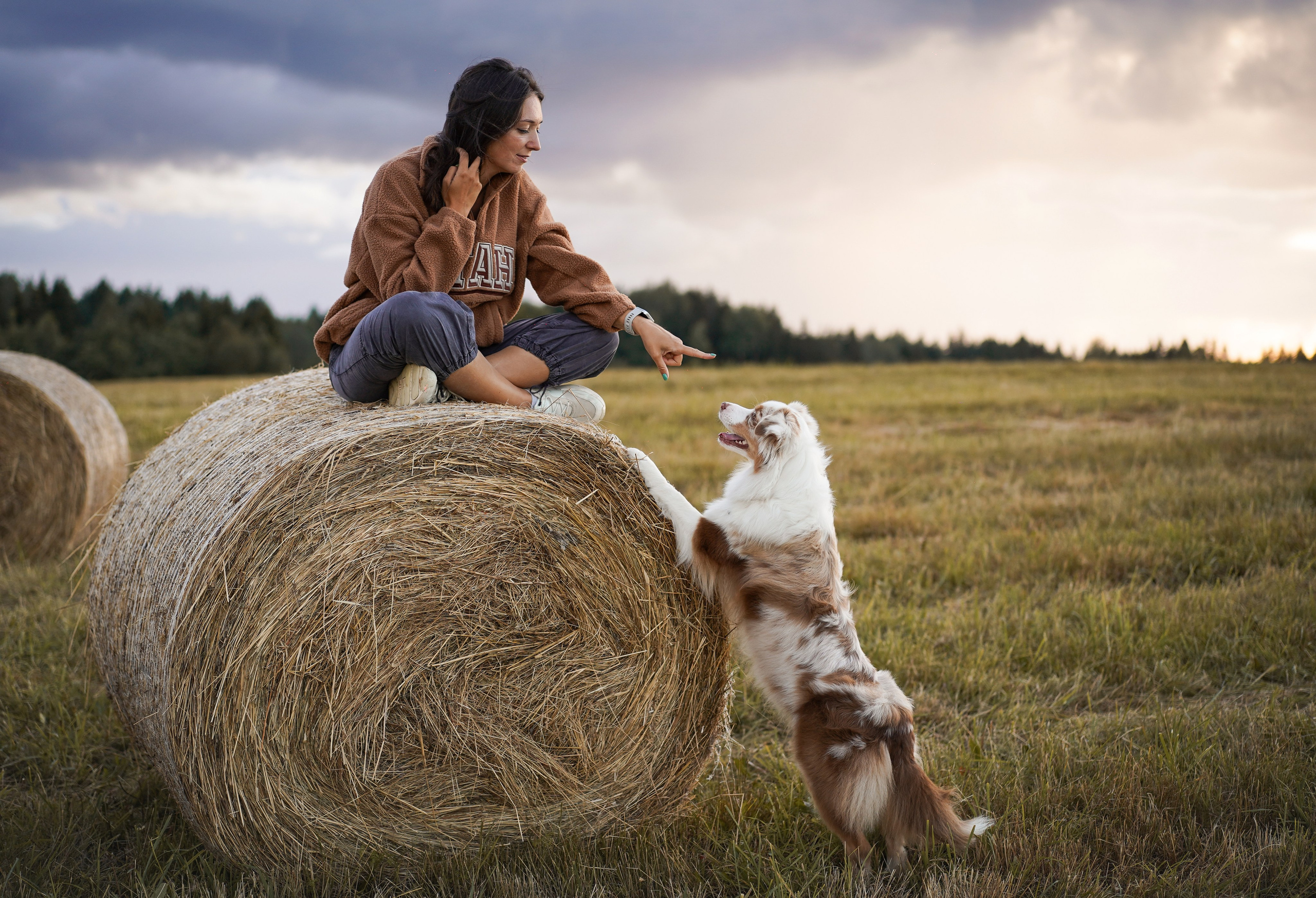 Панда и стога. Фотограф-анималист в Санкт-Петербурге Яна Мартынова