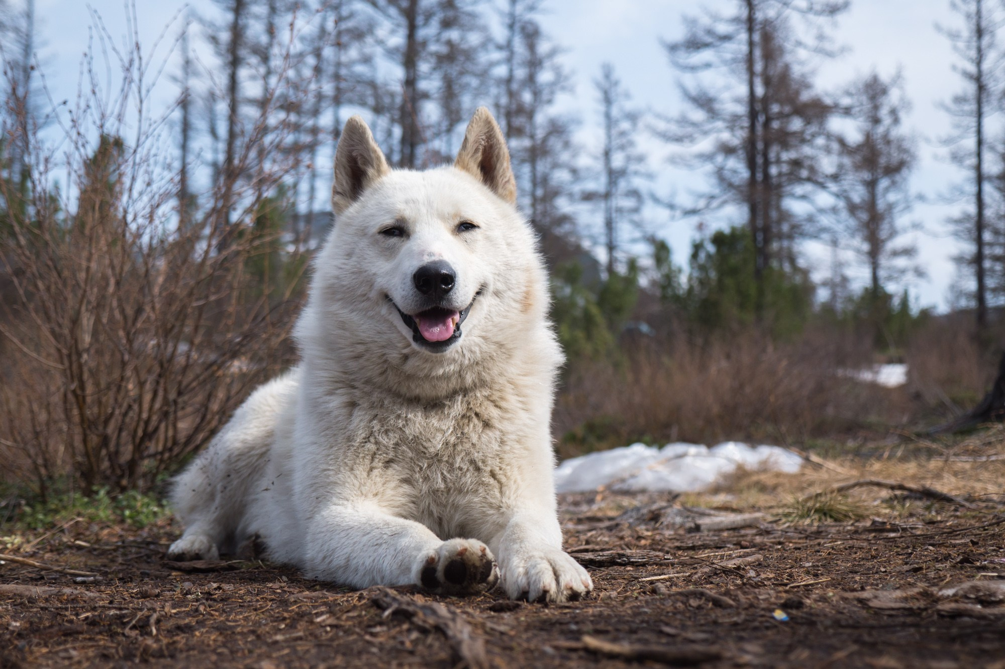 Якутия. Фотограф Алексей Скоробогатько