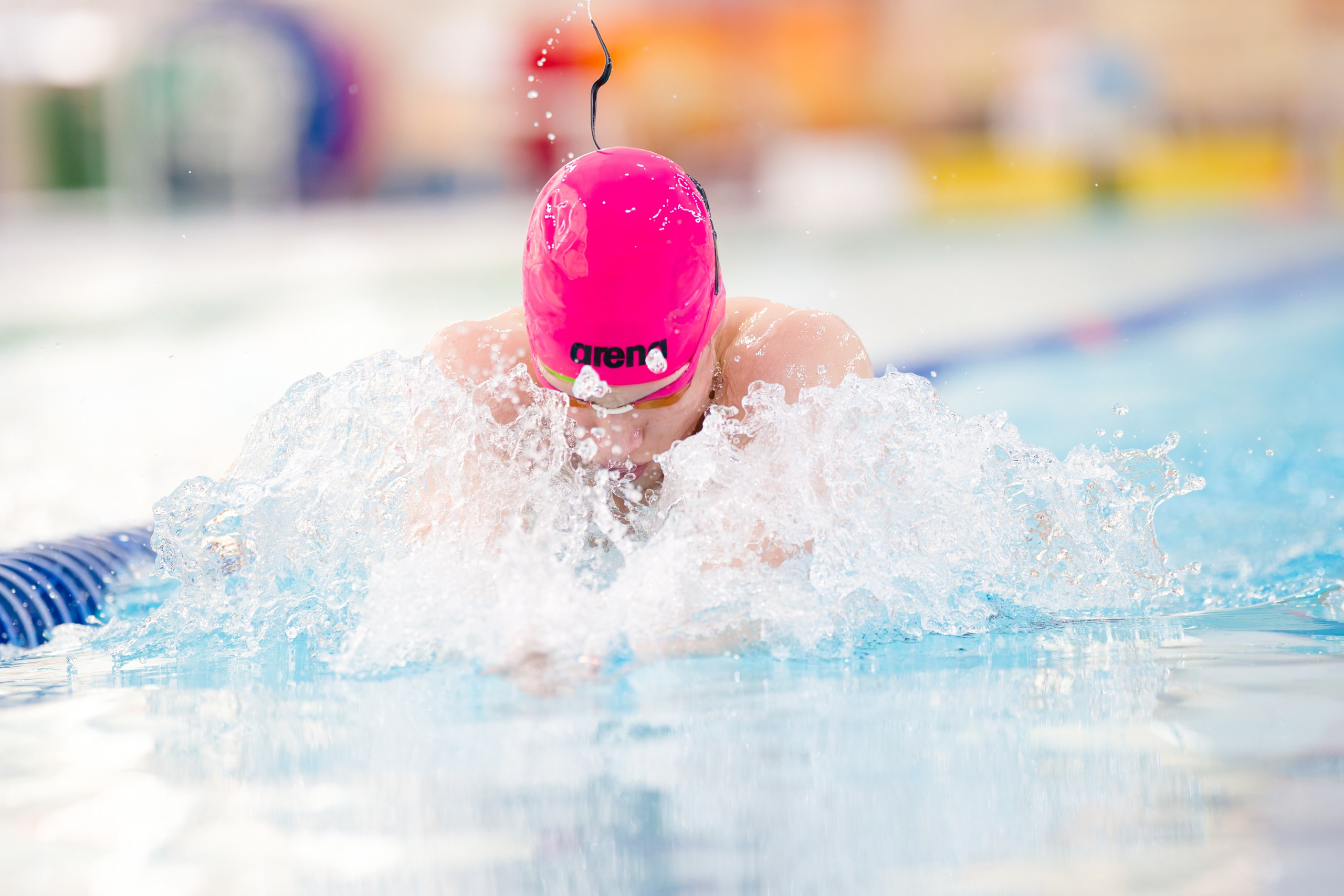 Чемпионат Санкт-Петербурга по плаванию. Профессиональный спортивный фотограф в Санкт-Петербурге