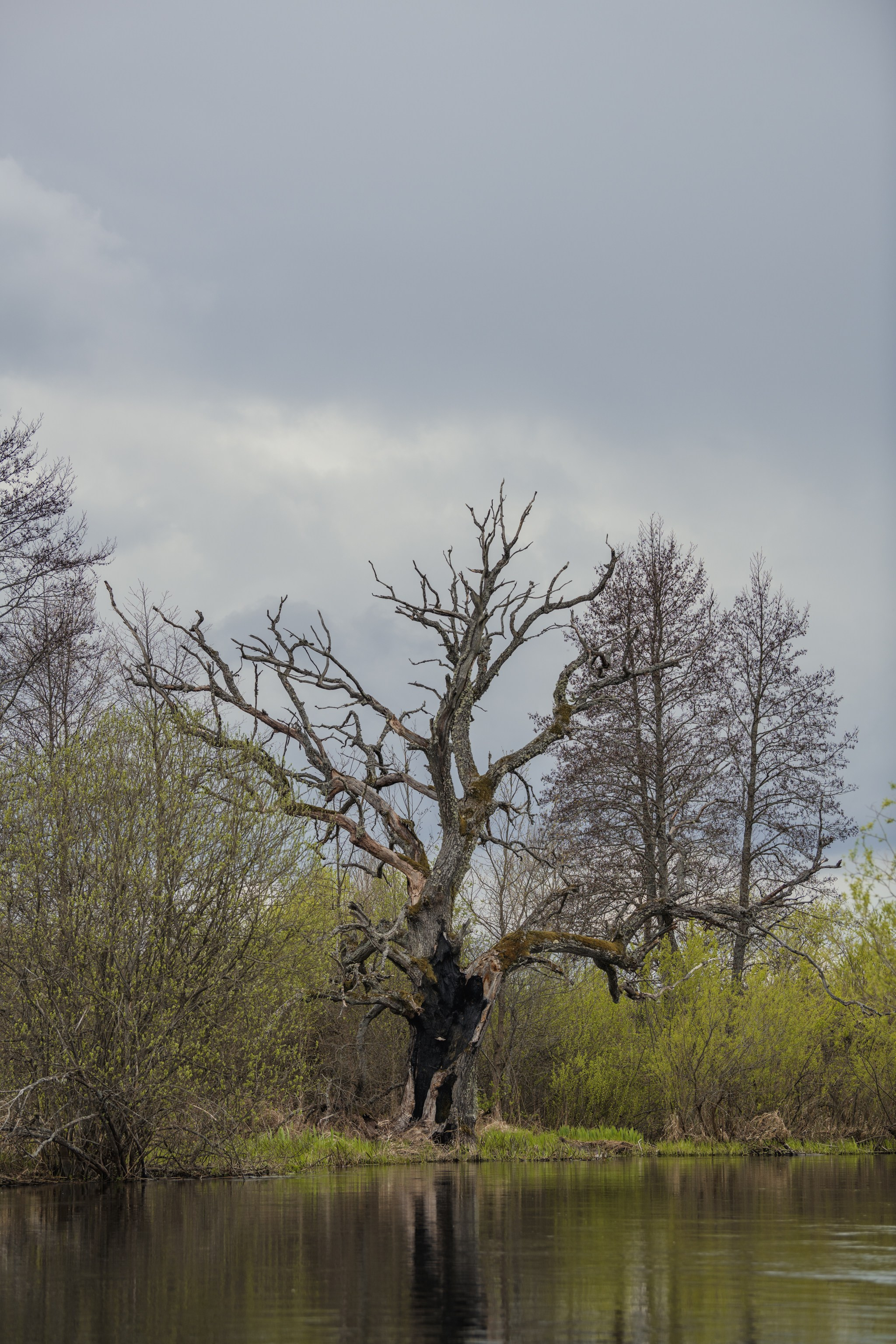 Водный поход 1-й кс по реке Случь. Репортажный фотограф Владимир Беляй