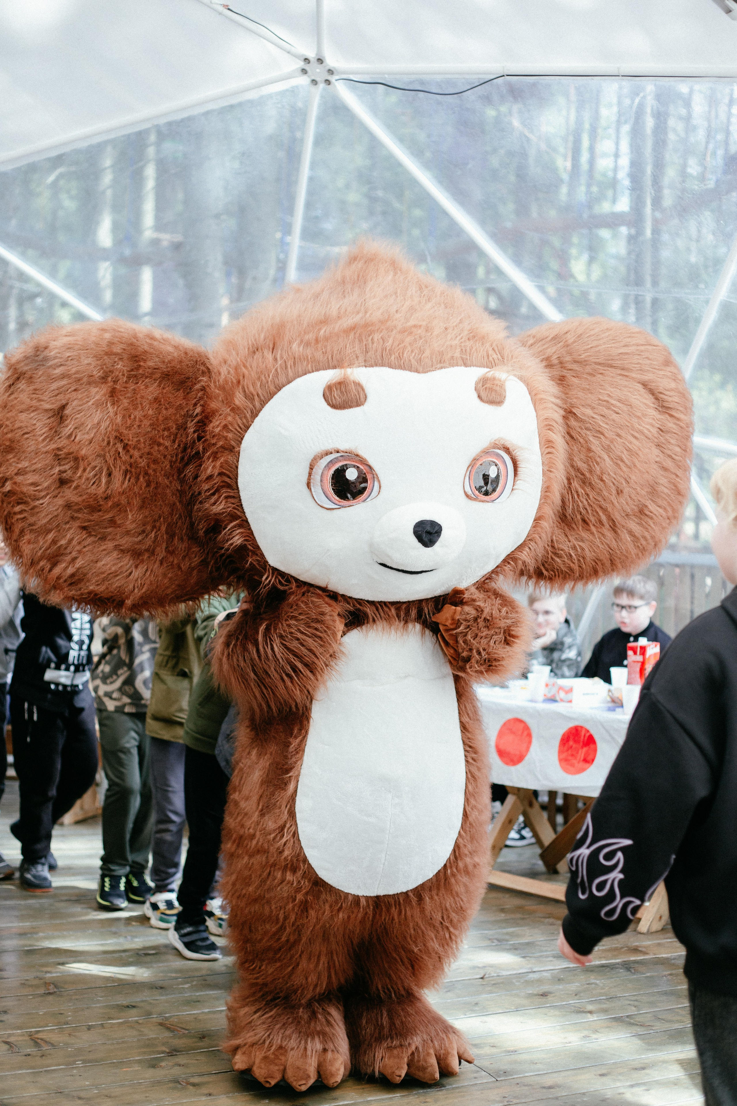 Выпускной в начальной школе. Арт-фотограф Крис Л. в Тобольске: портрет, семейные, свадьбы