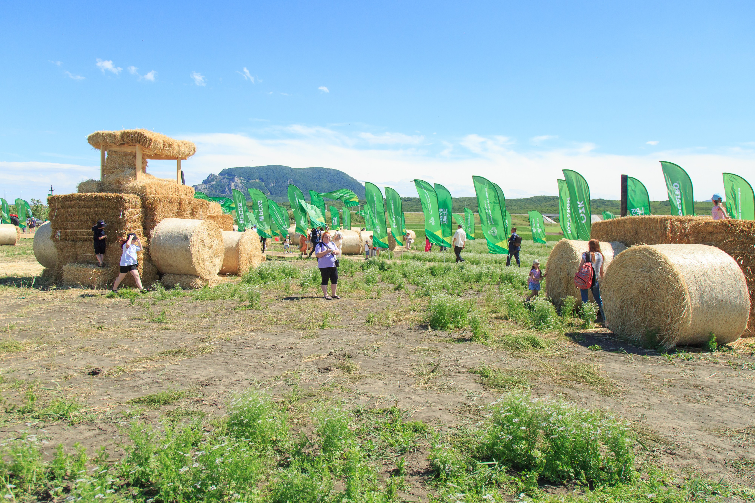 Репортажный фотограф. Репортажная фотосъёмка Минеральные Воды, Пятигорск, Кисловодск, Ставрополь. Репортажный и свадебный фотограф Пятигорск и КМВ