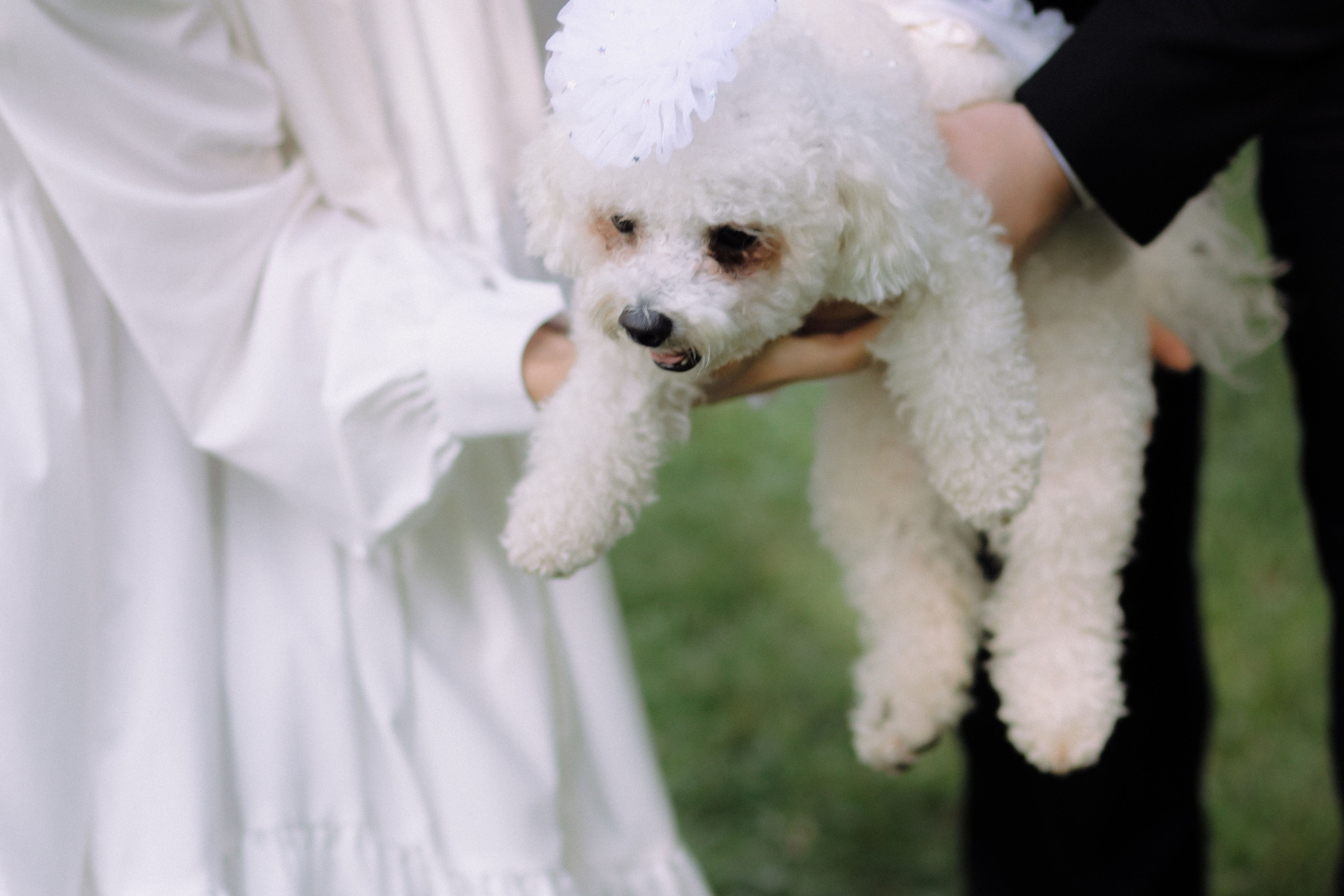 Artem & Anastasia. Главная