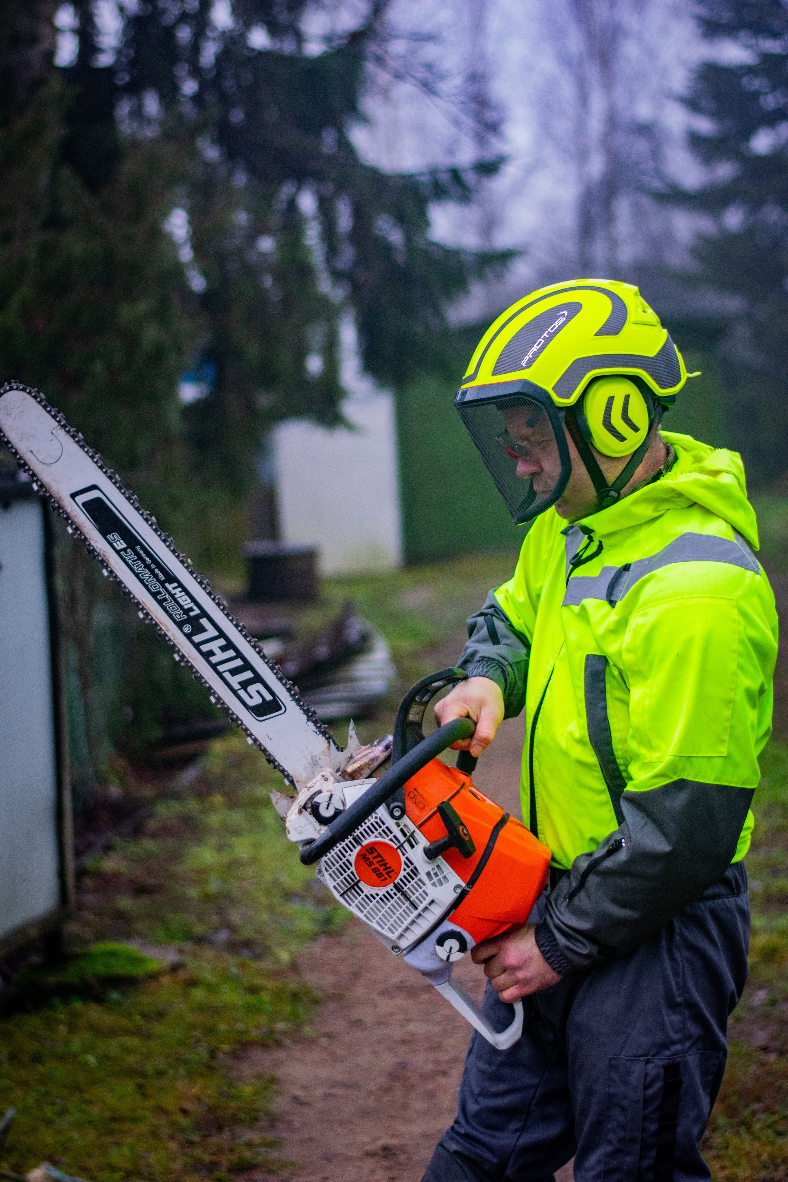 Спил деревьев. Аrbori Culturist