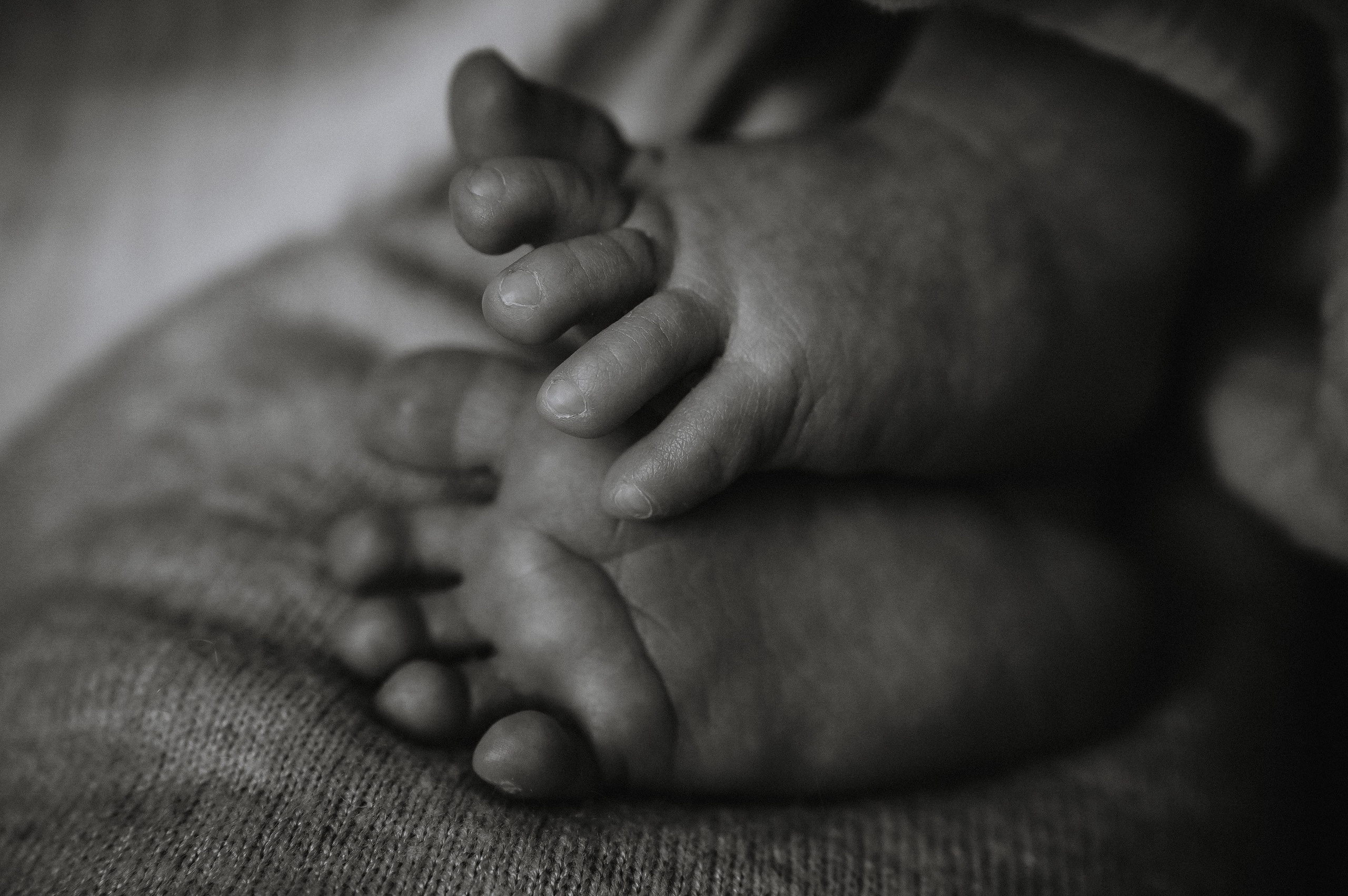 Давид. 04.02.2026. Фотограф СЕМЬИ и ДЕТСТВА в Краснодаре и Краснодарском крае Екатерина Москат