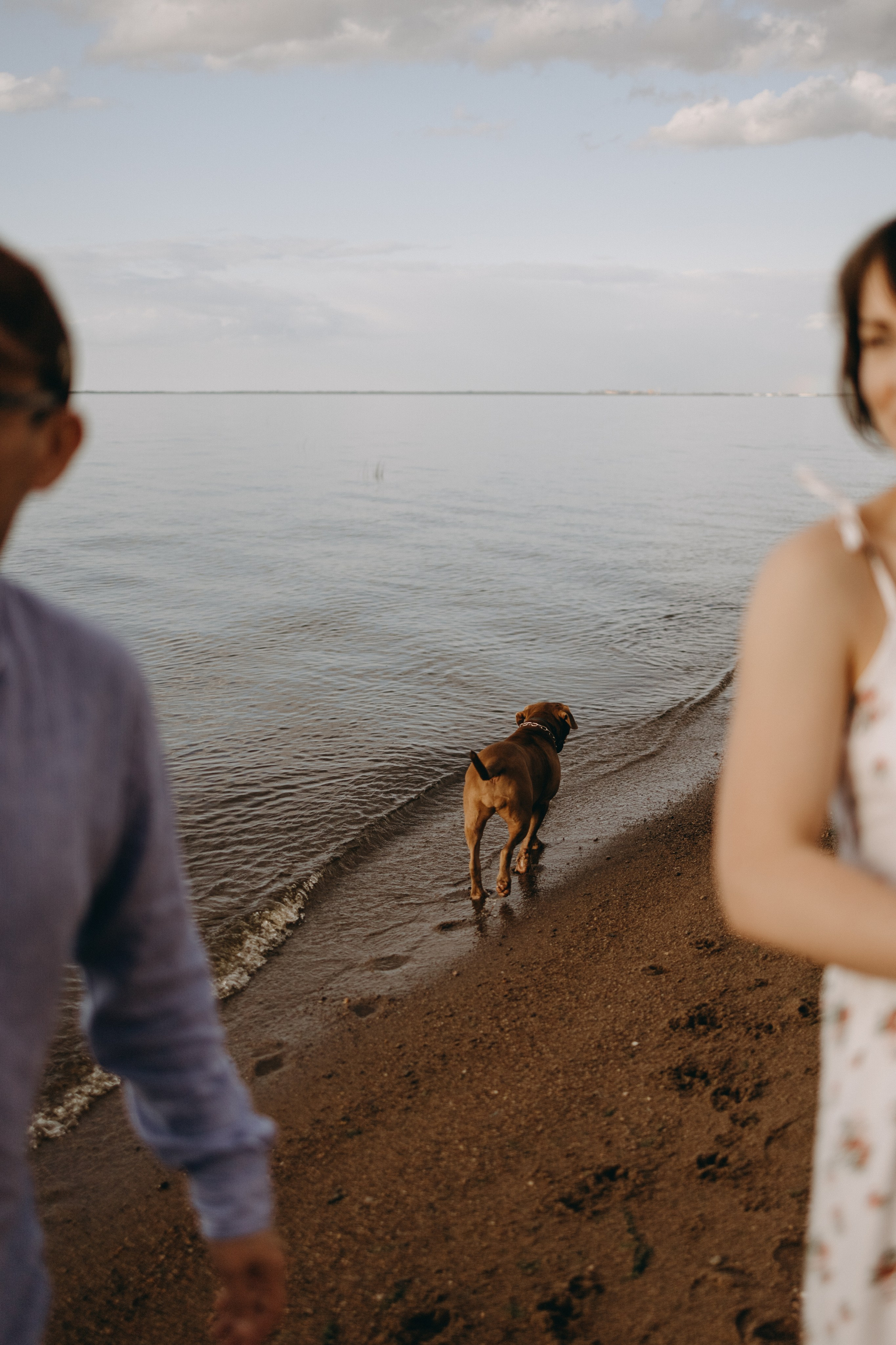 Бонни и ее семья. Фотограф — Анималист | Санкт-Петербург