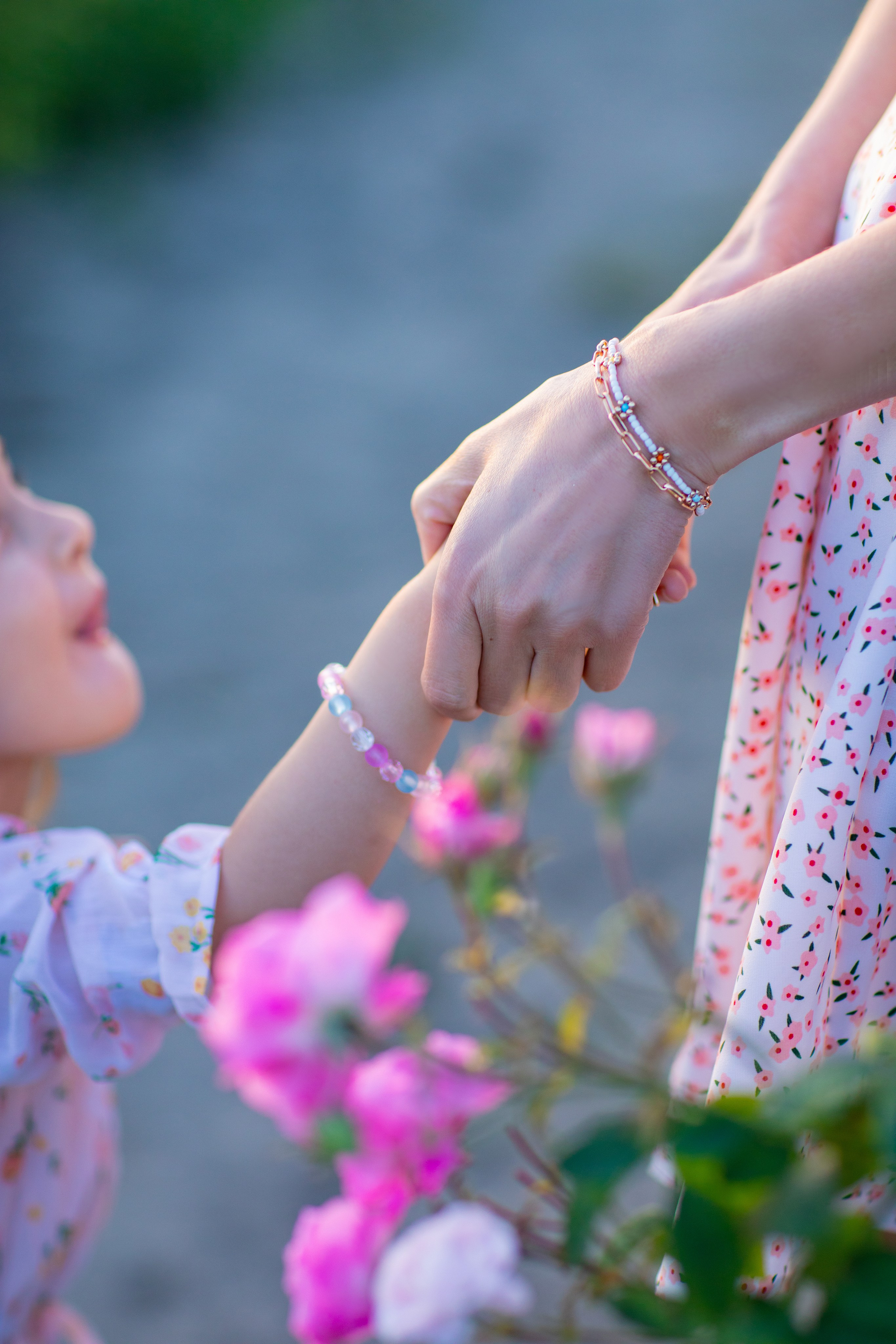 Чайная роза. Фотограф Севастополь/Крым Светлана Евтушенко