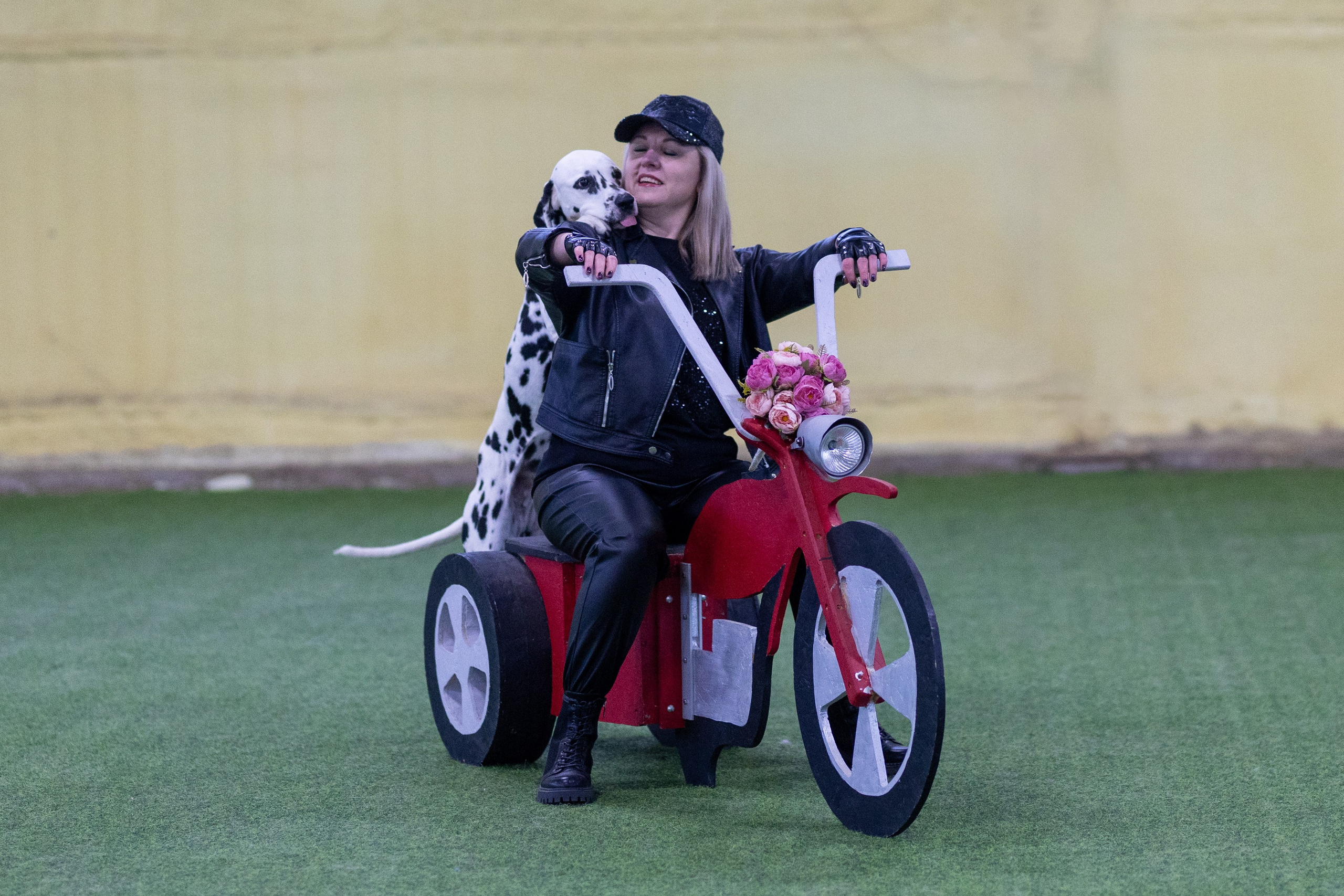 Соревнования танцы. Фотограф-анималист в Москве Кириллова Татьяна