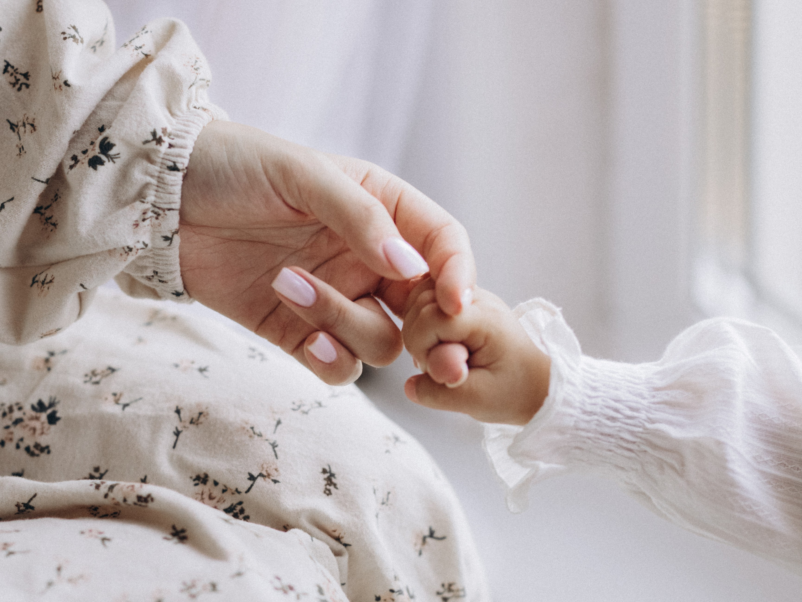 Теплая осень. Фотограф-анималист в Москве Кириллова Татьяна