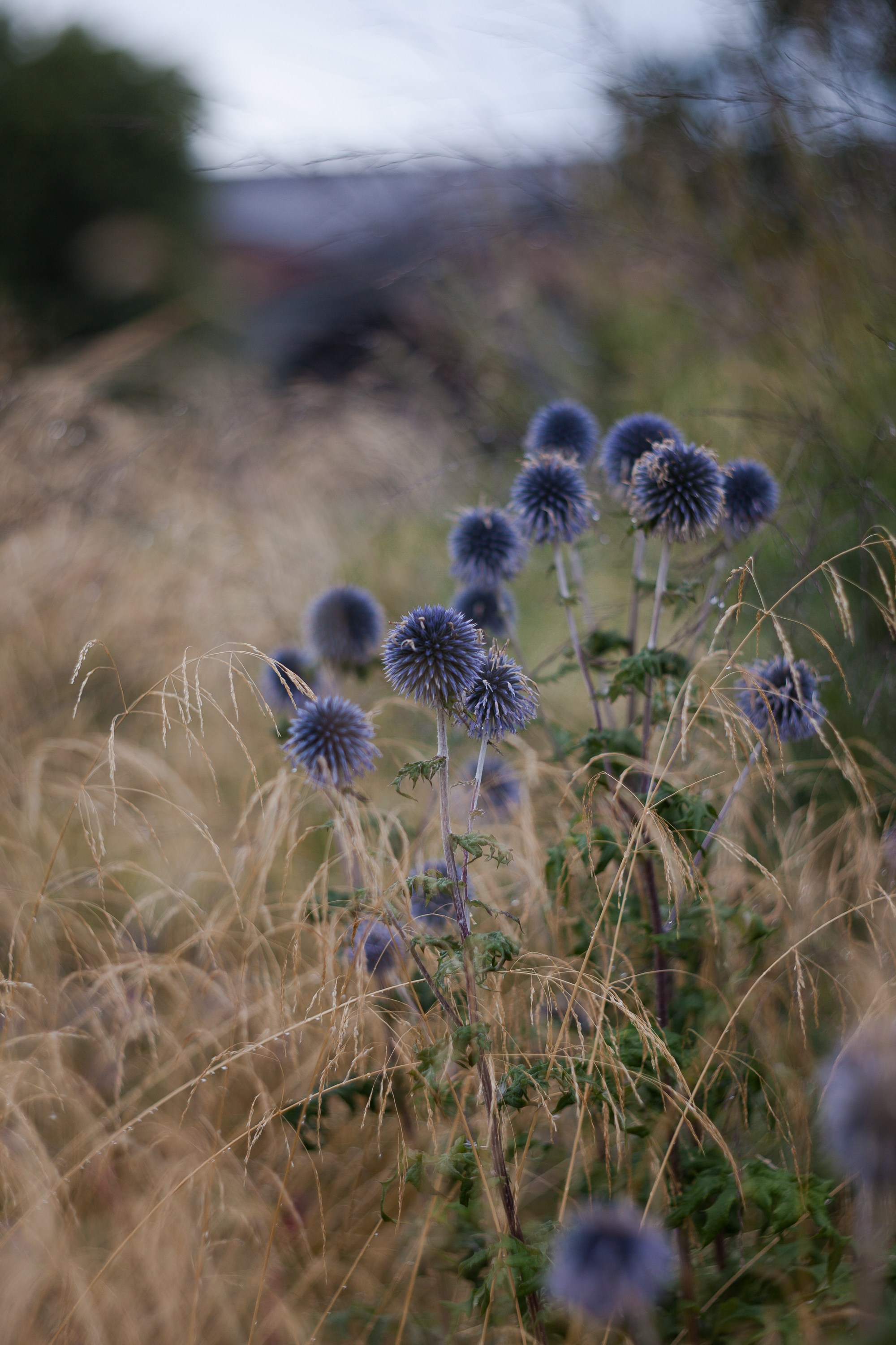 Новая Голландия — объект культурного наследия народов РФ федерального значения. Туманов Виталий — фотограф Москва