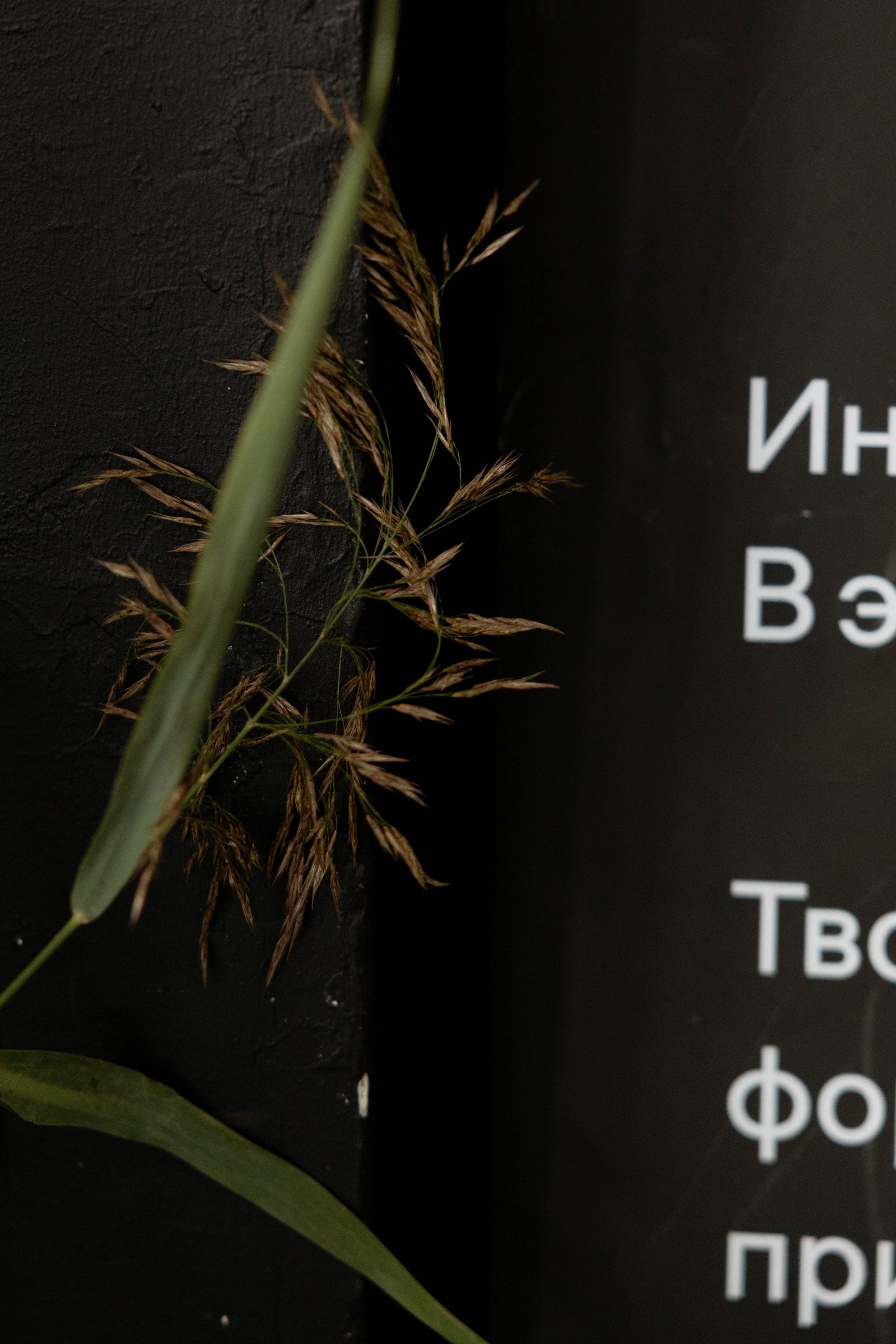 Грегуар & Вера. Оформление свадеб, декор свадеб Вера Маркова, Москва