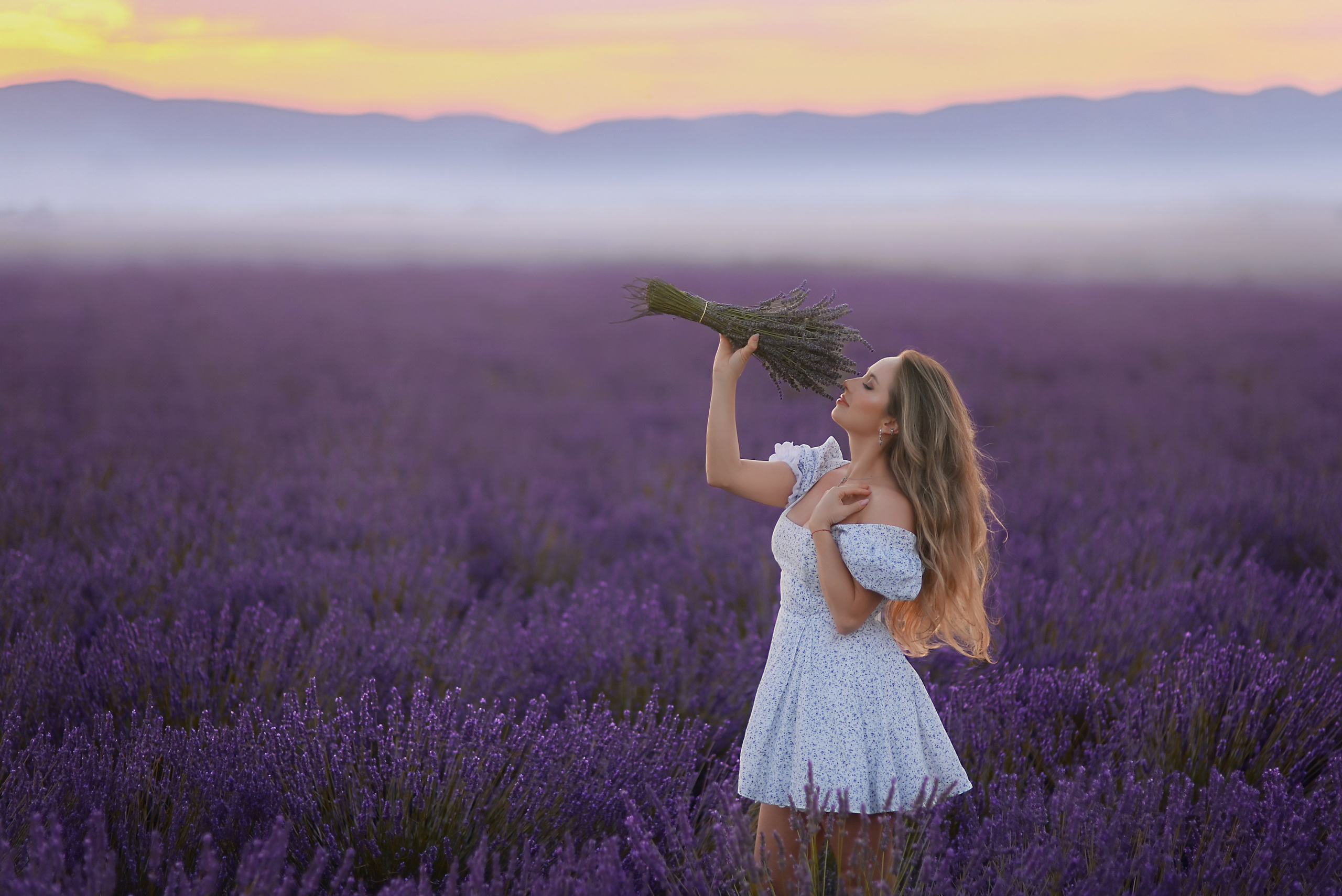 Lavender. Photographer in Provence Julia Lipiainen