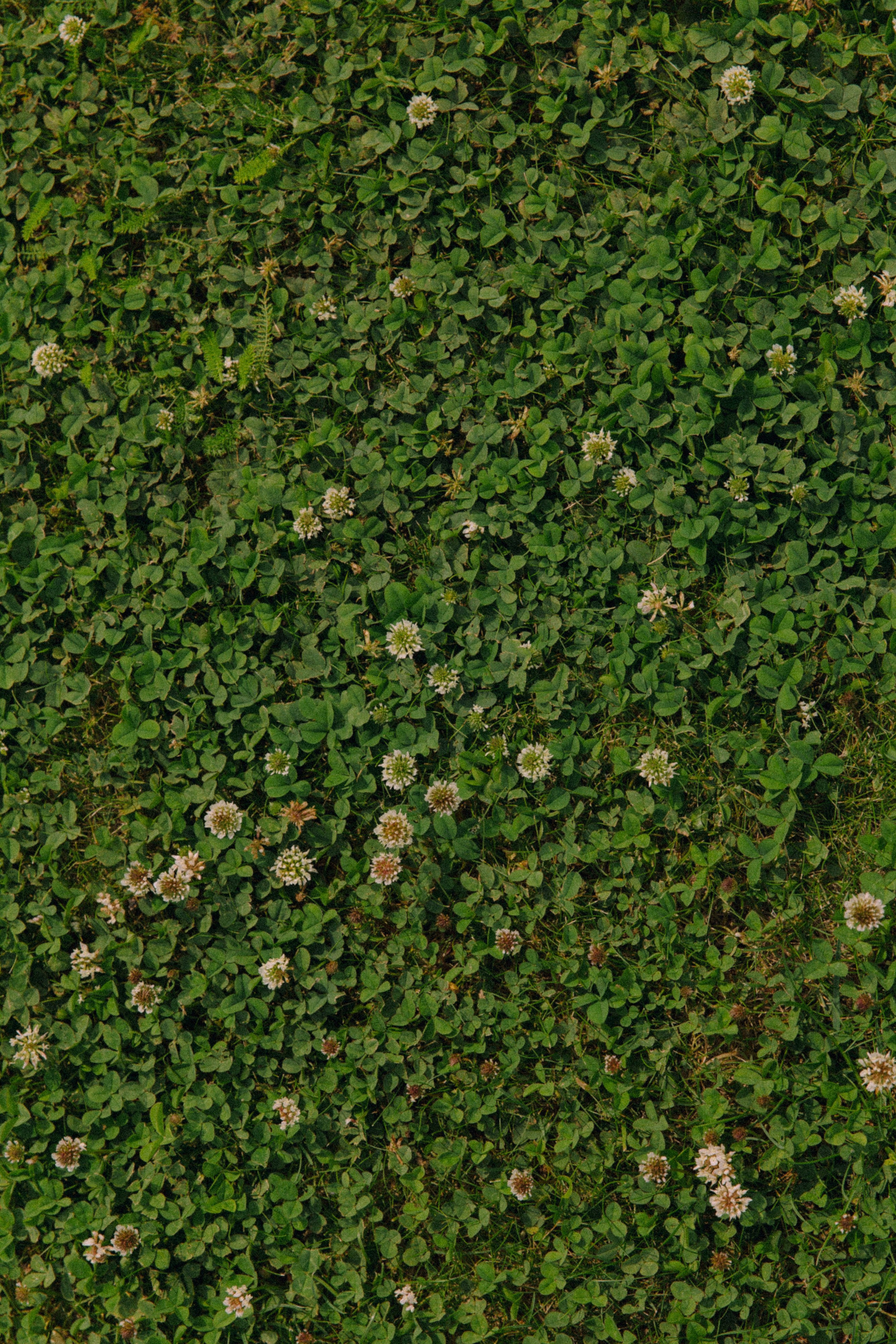 Weddig day Иван и Наталья. Свадебный фотограф Колесников Антон
