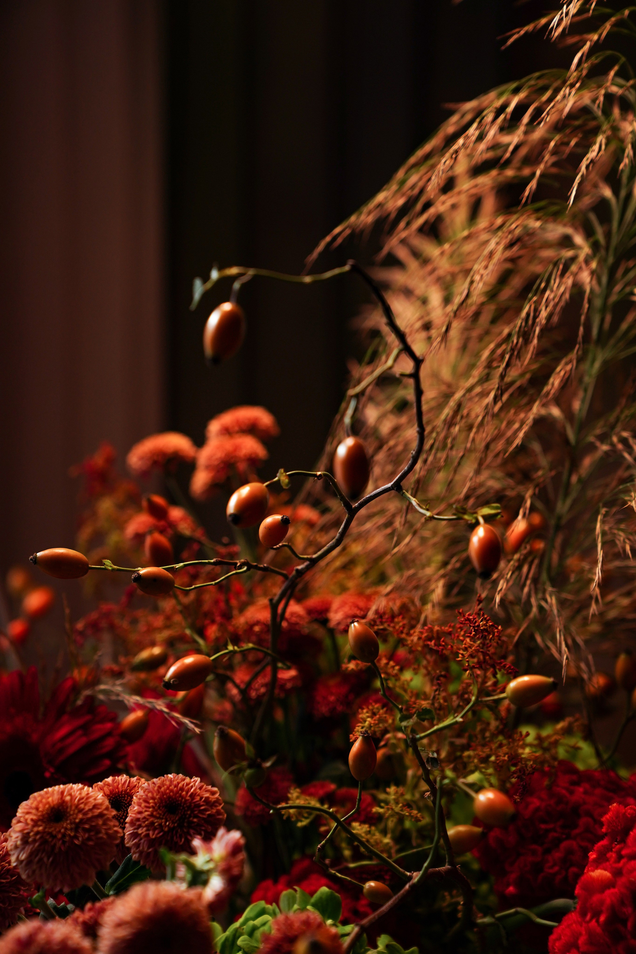 Garden Rose. Контентный и свадебный фотограф в Краснодаре и Сочи Елена Плотникова