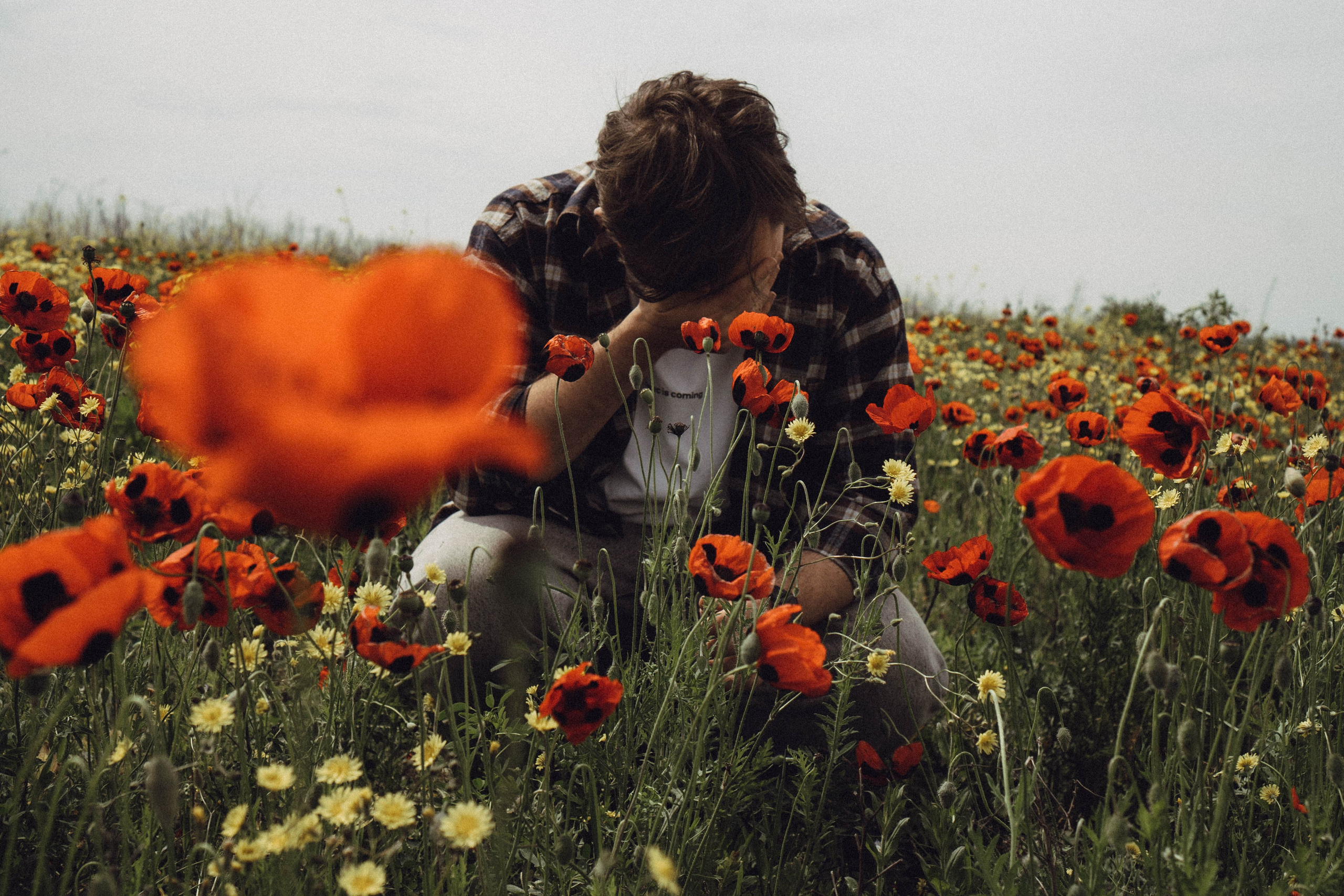 Маки. Профессиональный фотограф, Санкт-Петербург — Виктория Богомолова
