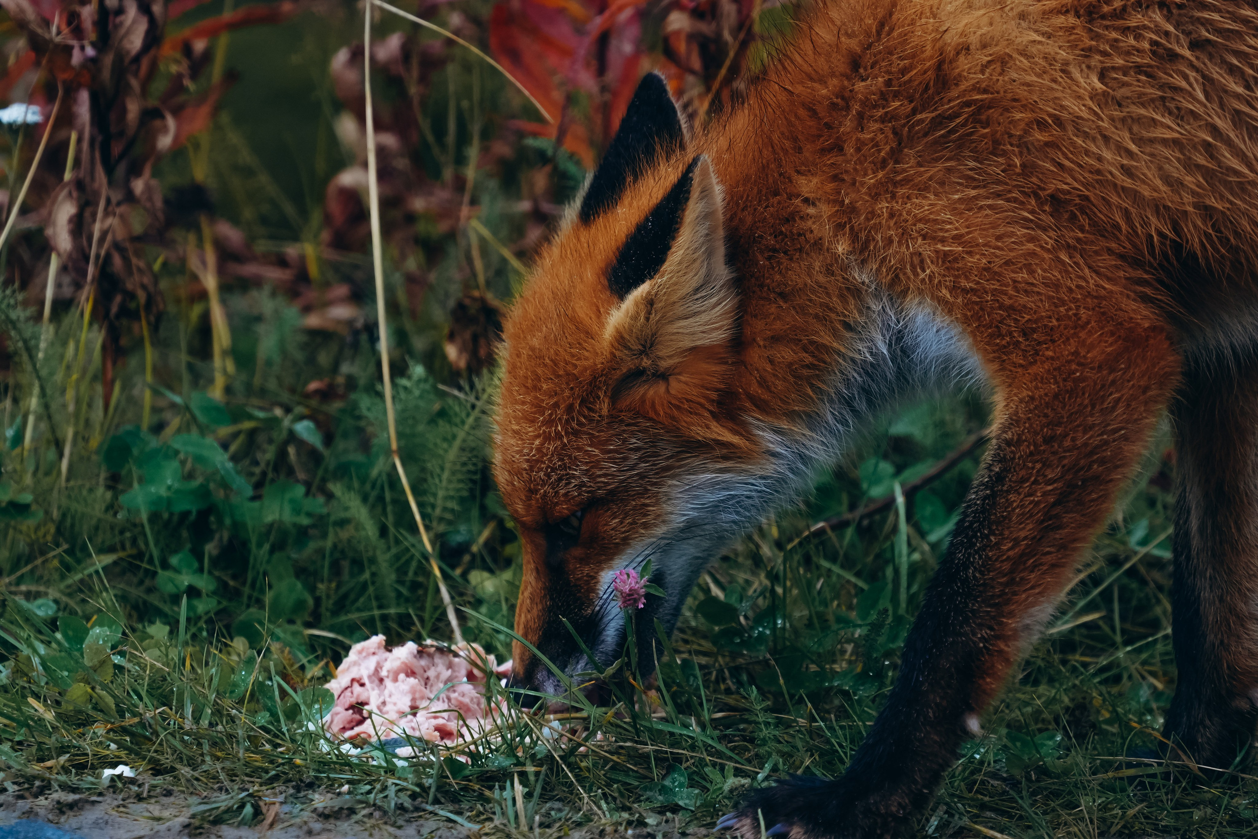 СЕВЕР. Event фотограф Степанова Александра