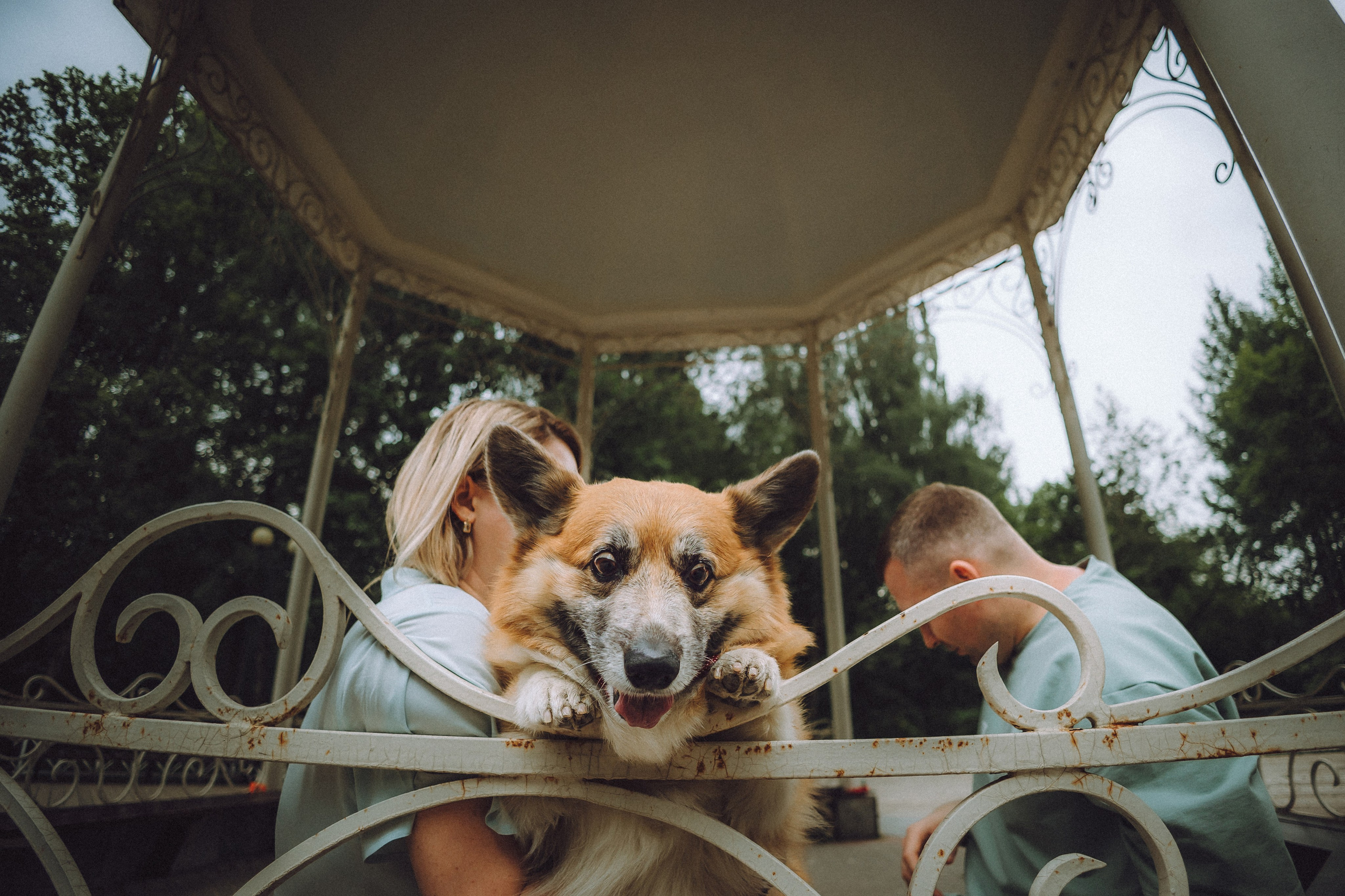 Ира, Леша и Харли