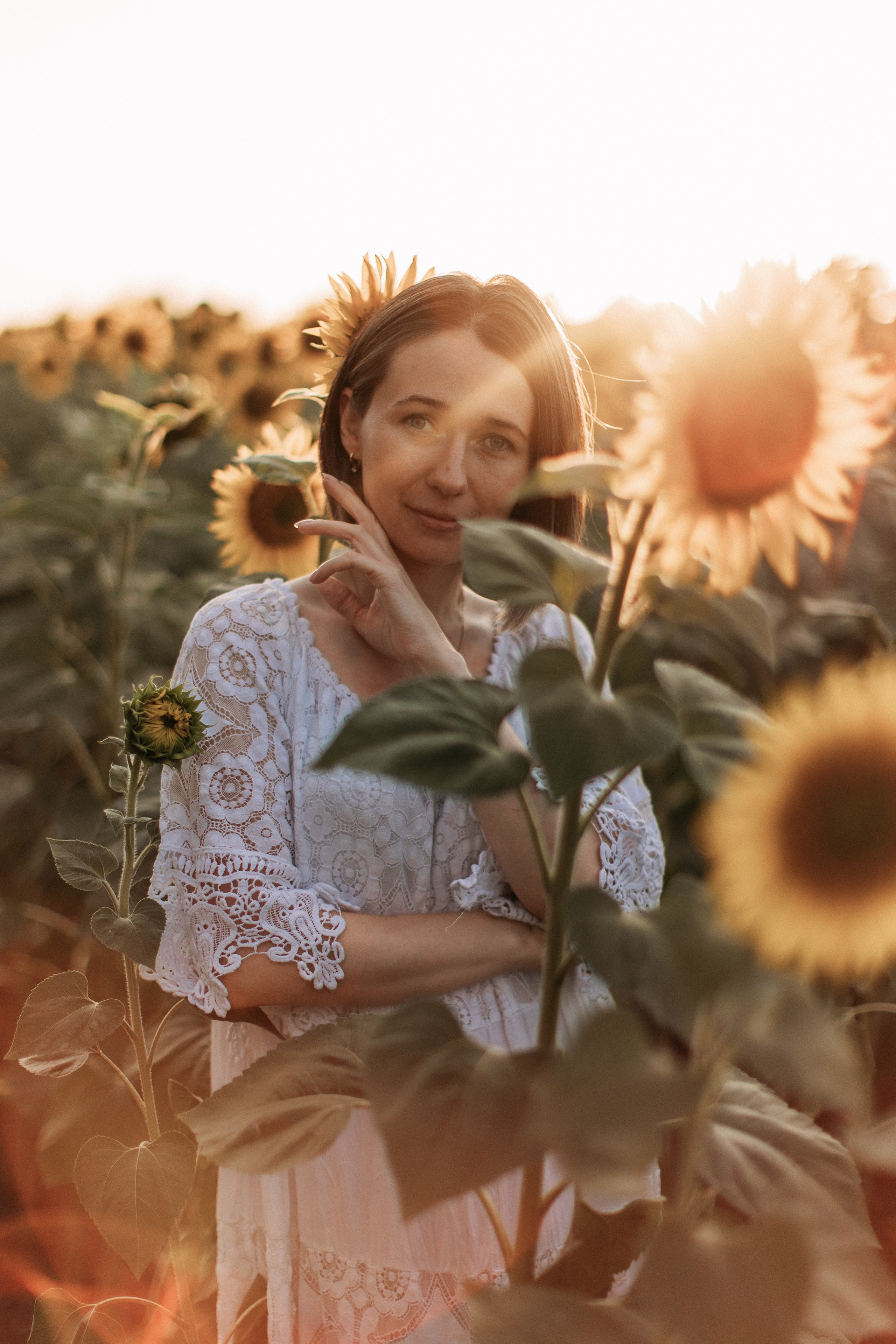 Море подсолнухов. Фотограф Катя Дубовик