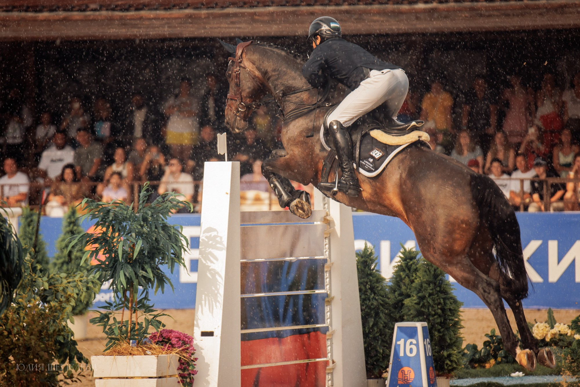 Дерби. Horseka 2024. Детская Конная фотография в Москве Юлия Шепелева