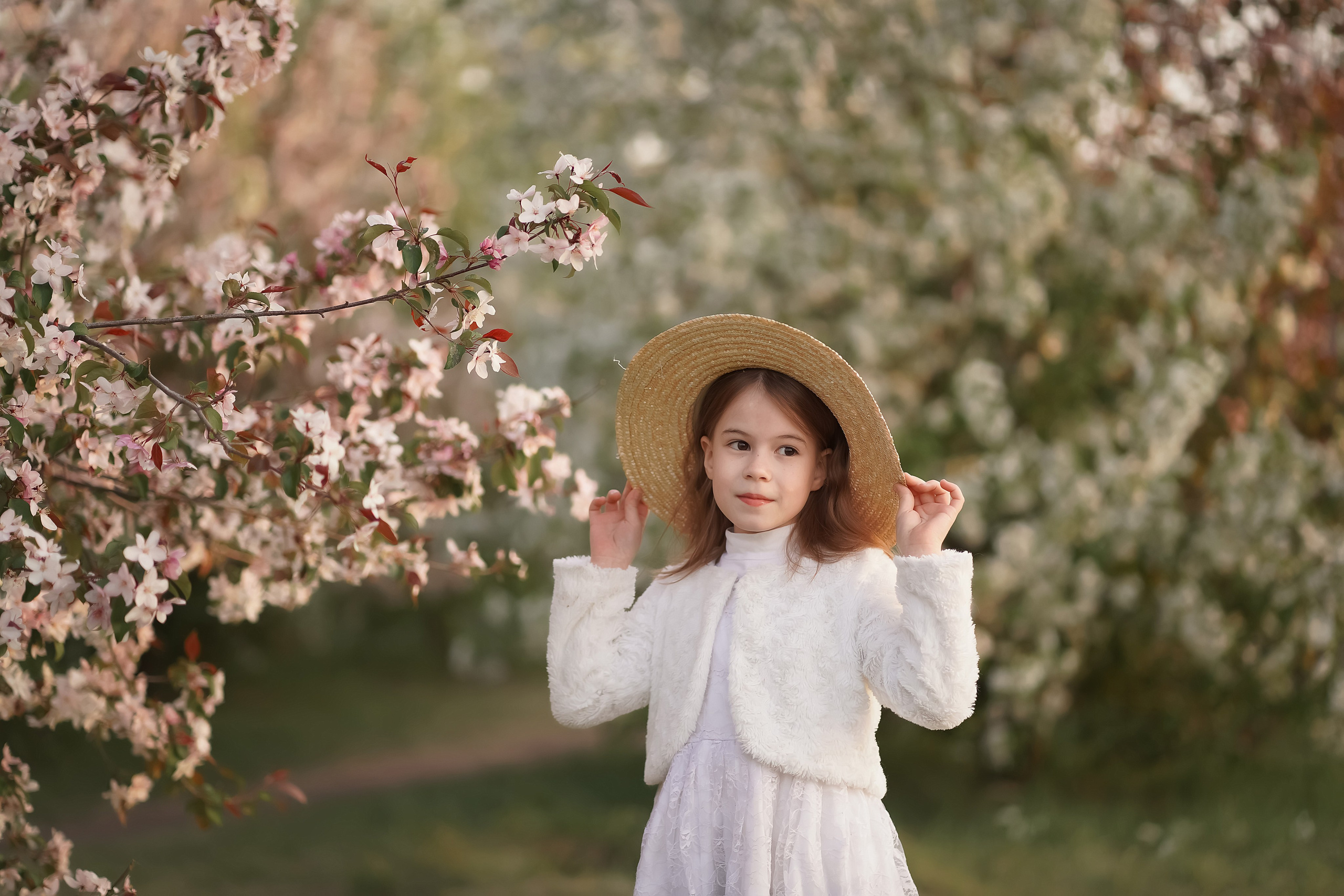 Цветение. Фотограф Татьяна Митрофанова