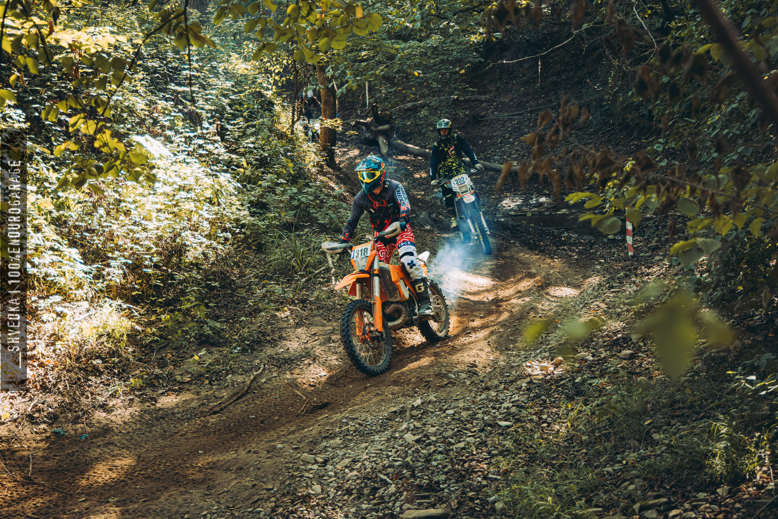 2 лесной день. Ваш экстрим фотограф Кудрева Яна