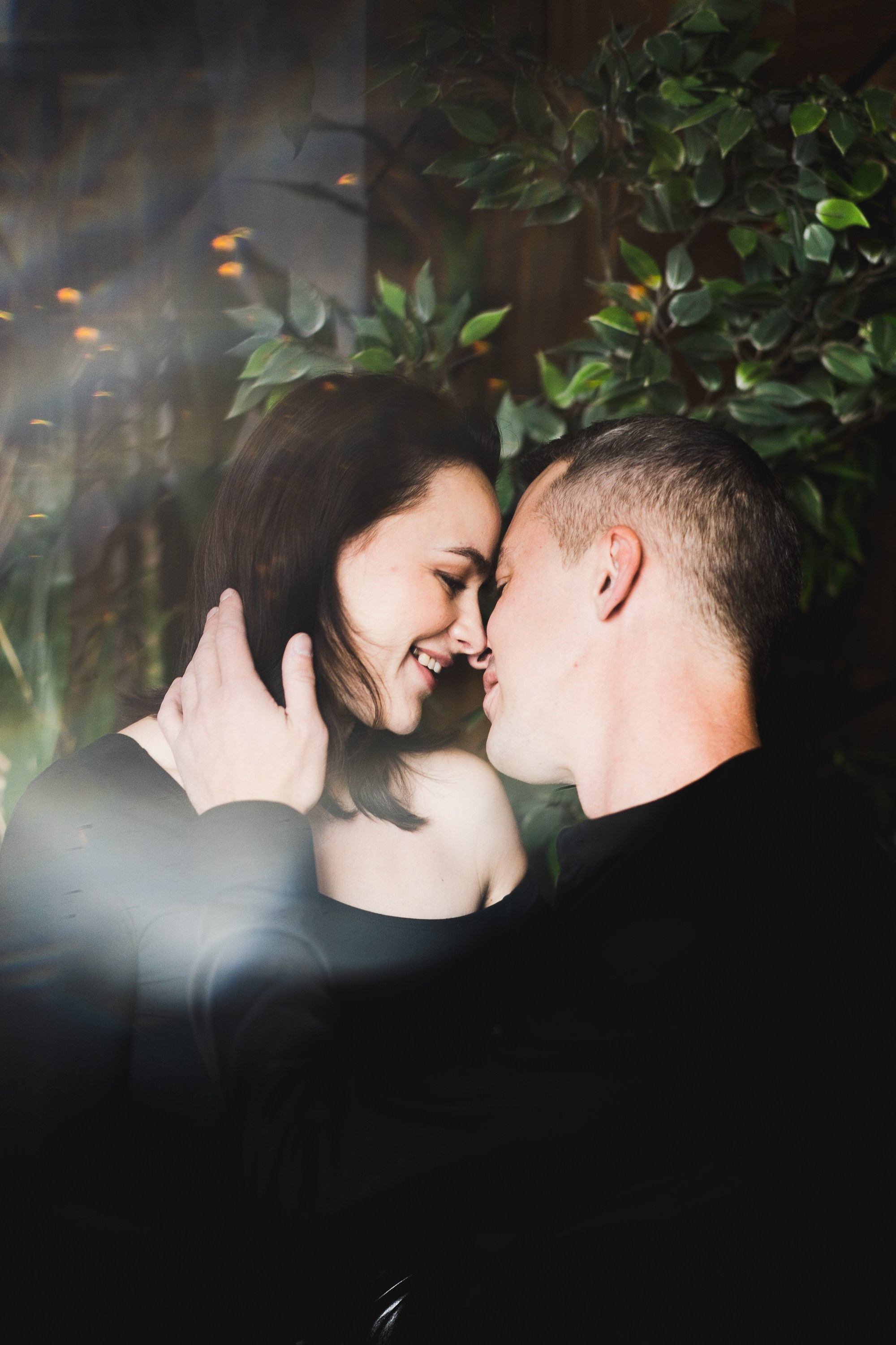 Элегия чувств. Главная