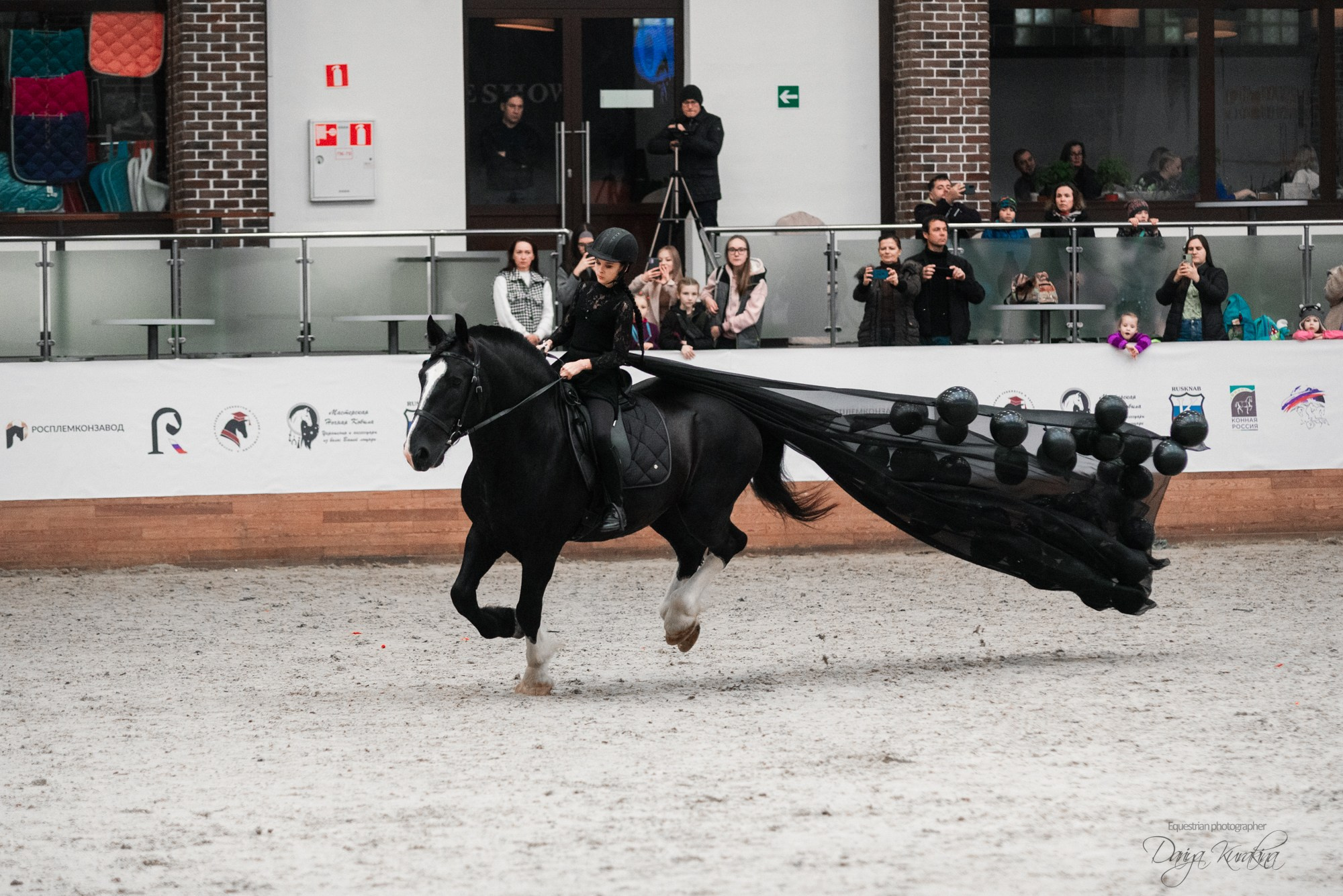 8-я международная выставка Конная Россия. Конный фотограф Куракина Дарья • Фотосессии с лошадьми