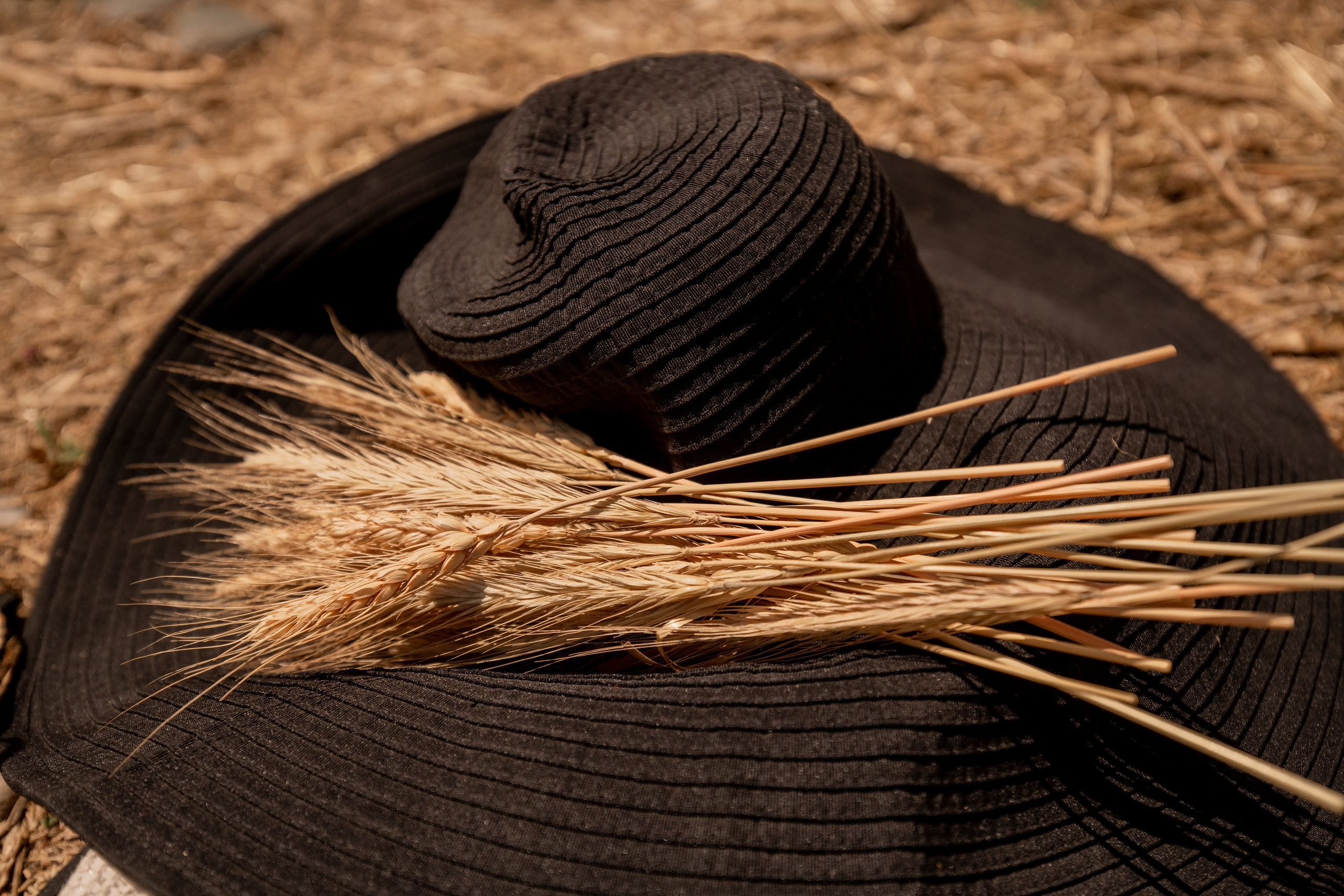 Итальянский прованс. Фотограф в Краснодаре и Бишкеке Галина Бокова