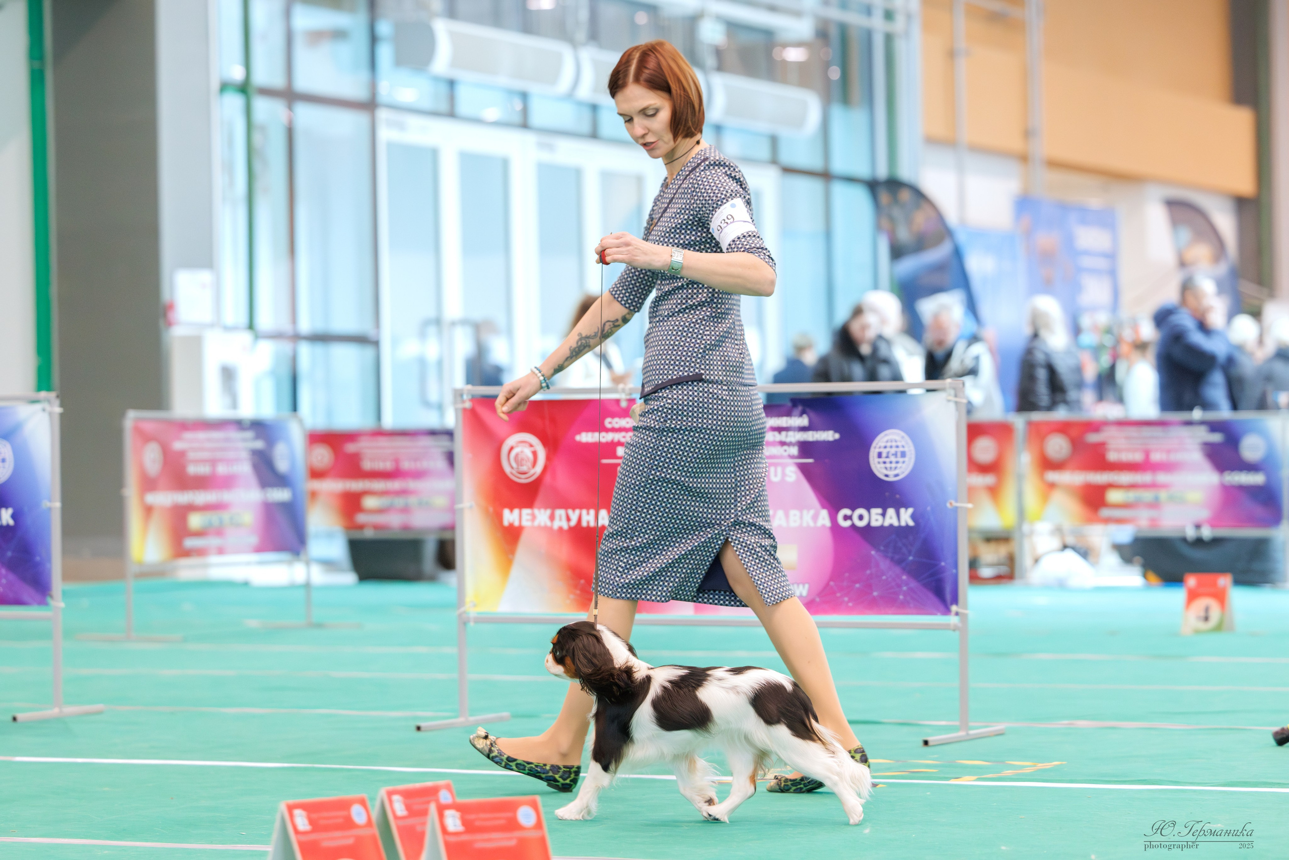 Минск 1-2.03.2025. Фотограф-анималист Юлия Германика