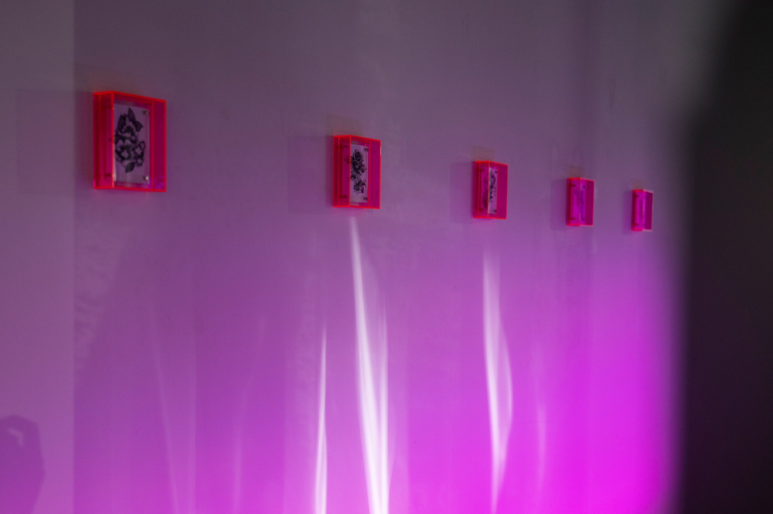 Красноярская музейная биеннале. Artist Anna Snegina Художница Анна Снегина