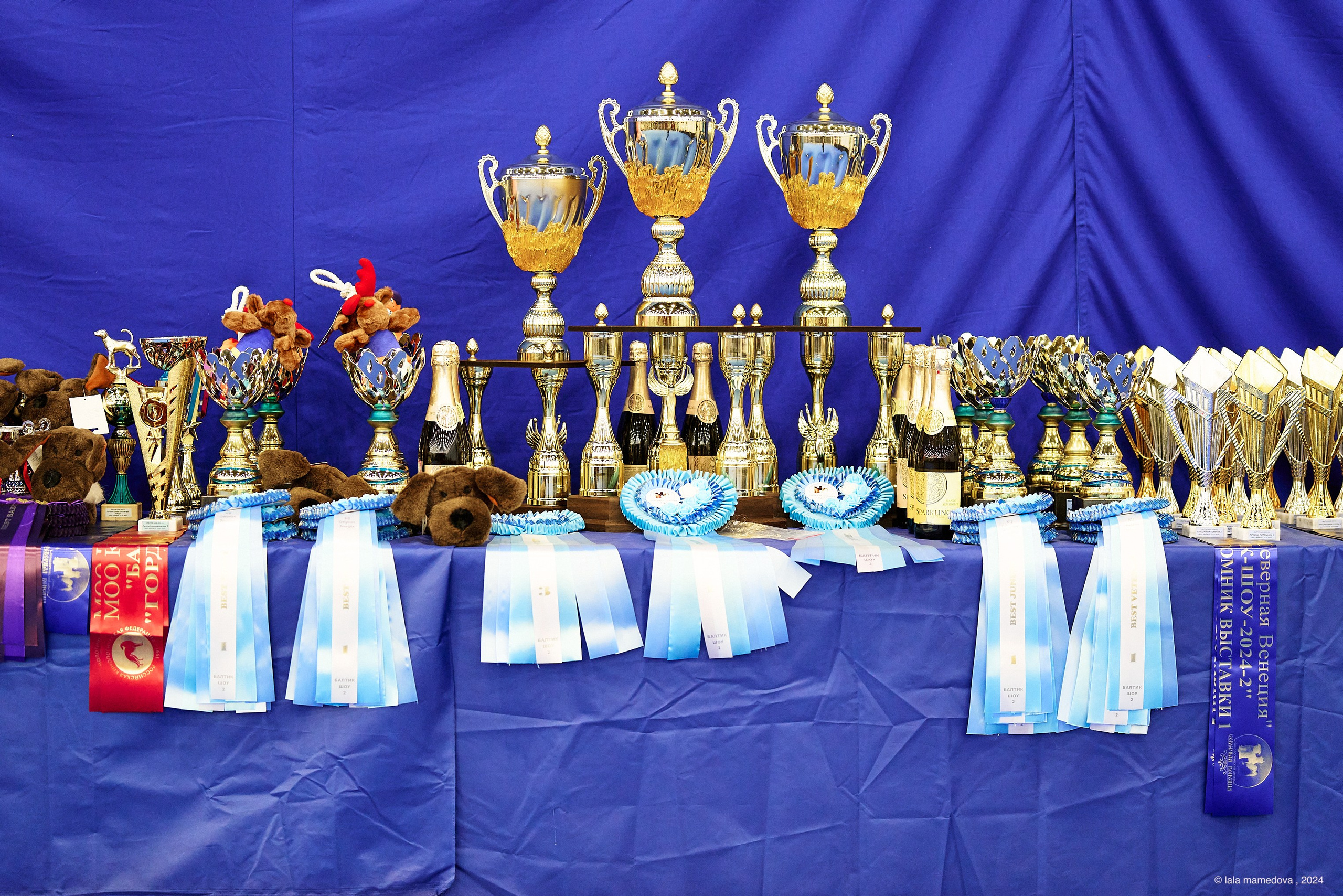 21.07.2024 | «БАЛТИК-ШОУ-2-2024»