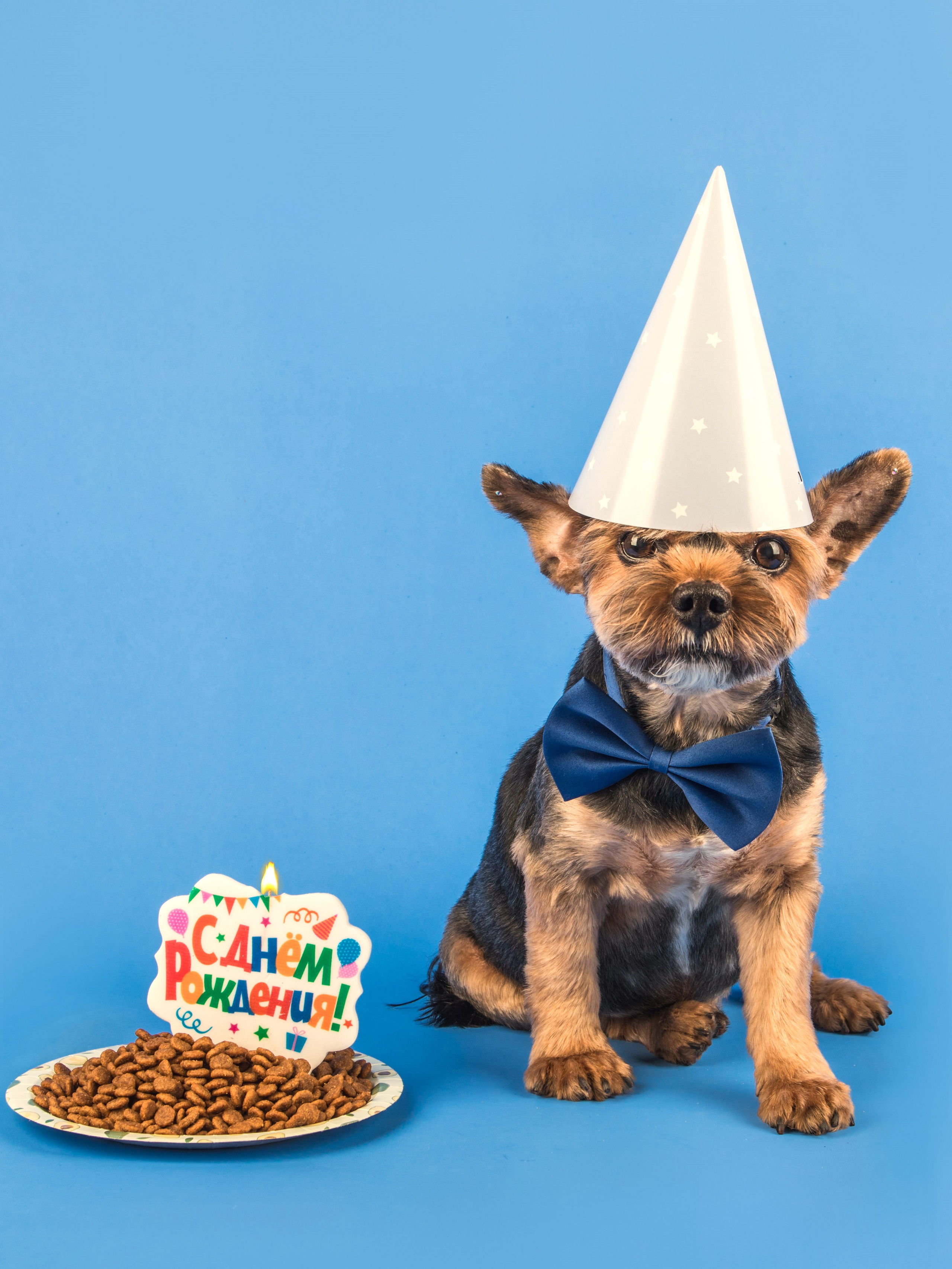 Серии. Предметный и семейный фотограф в Санкт-Петербурге Катерина Стеклова