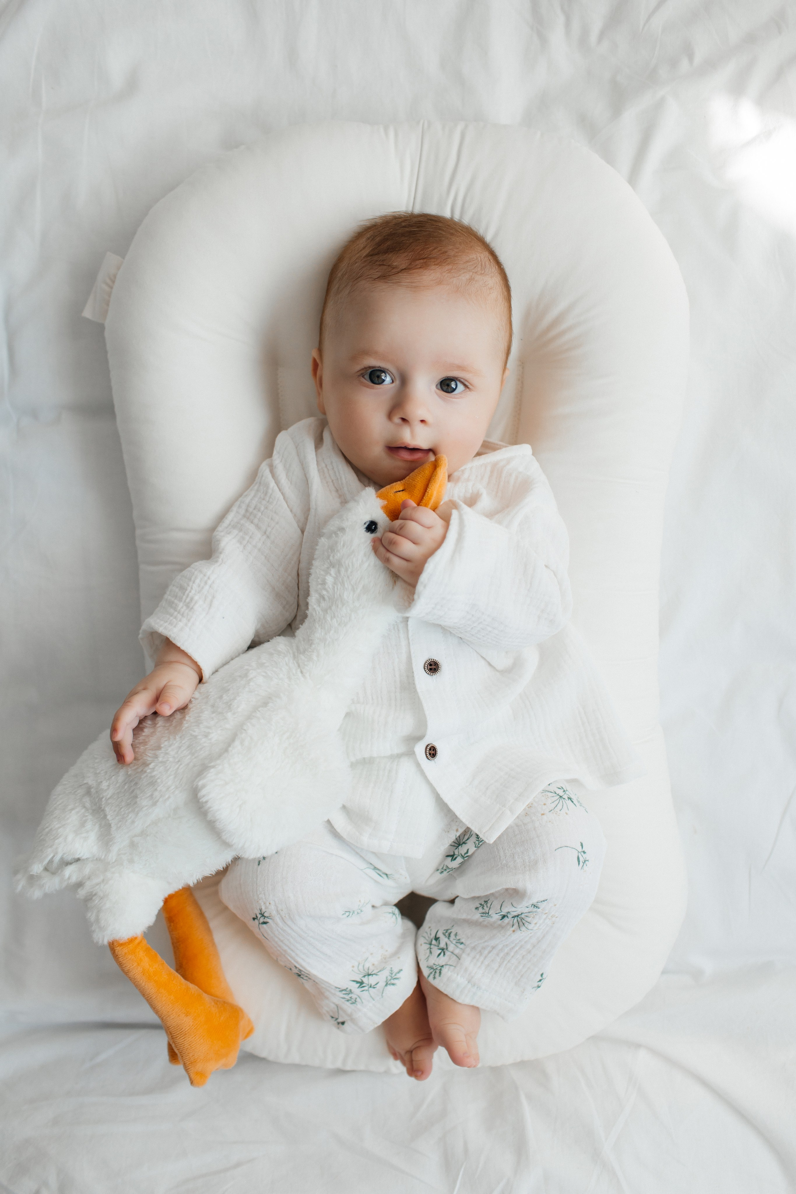 Малыши 3-12 месяцев. Newborn Фотограф в Твери