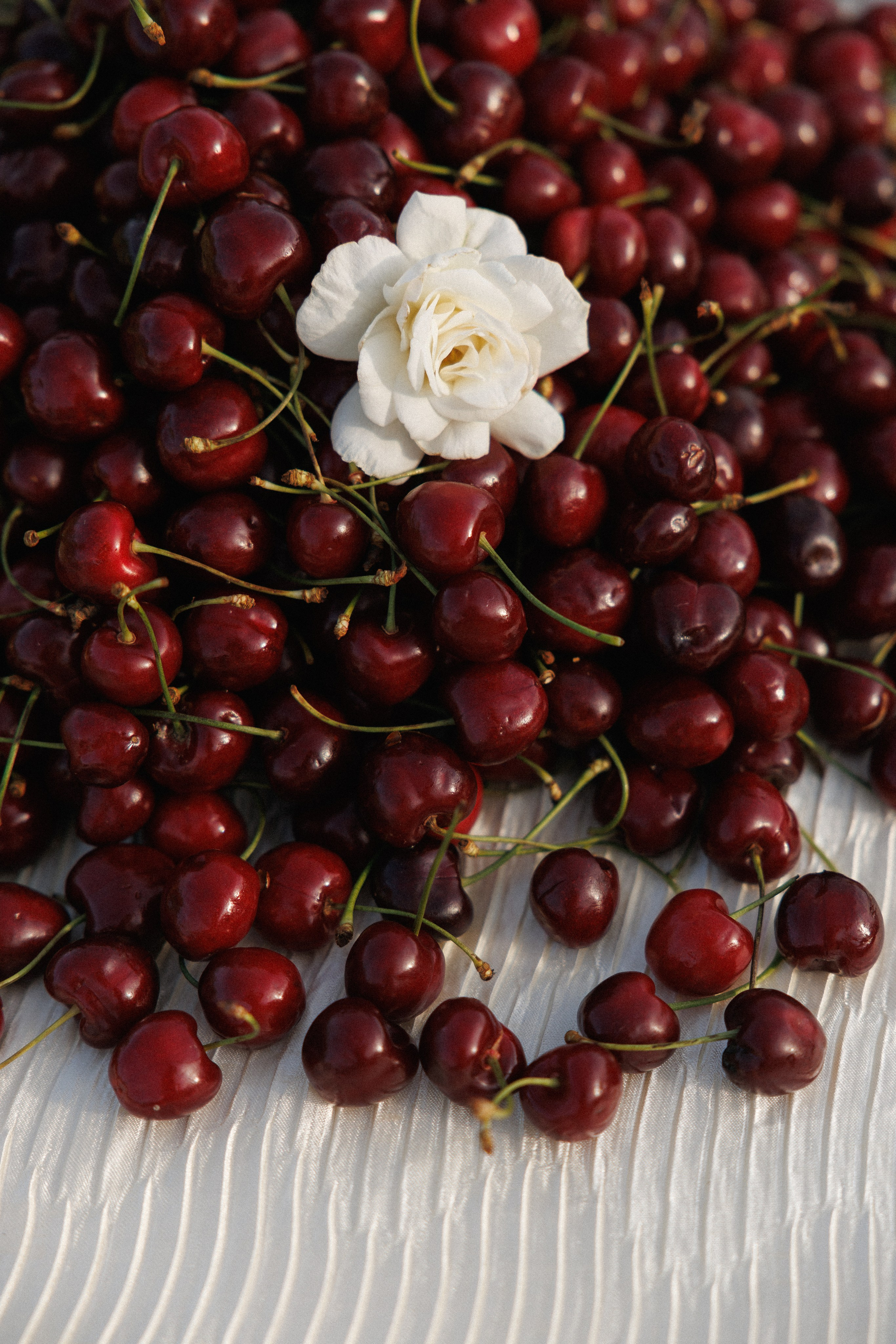 Кусково 2025. Фотограф в Москве Виктория Губина