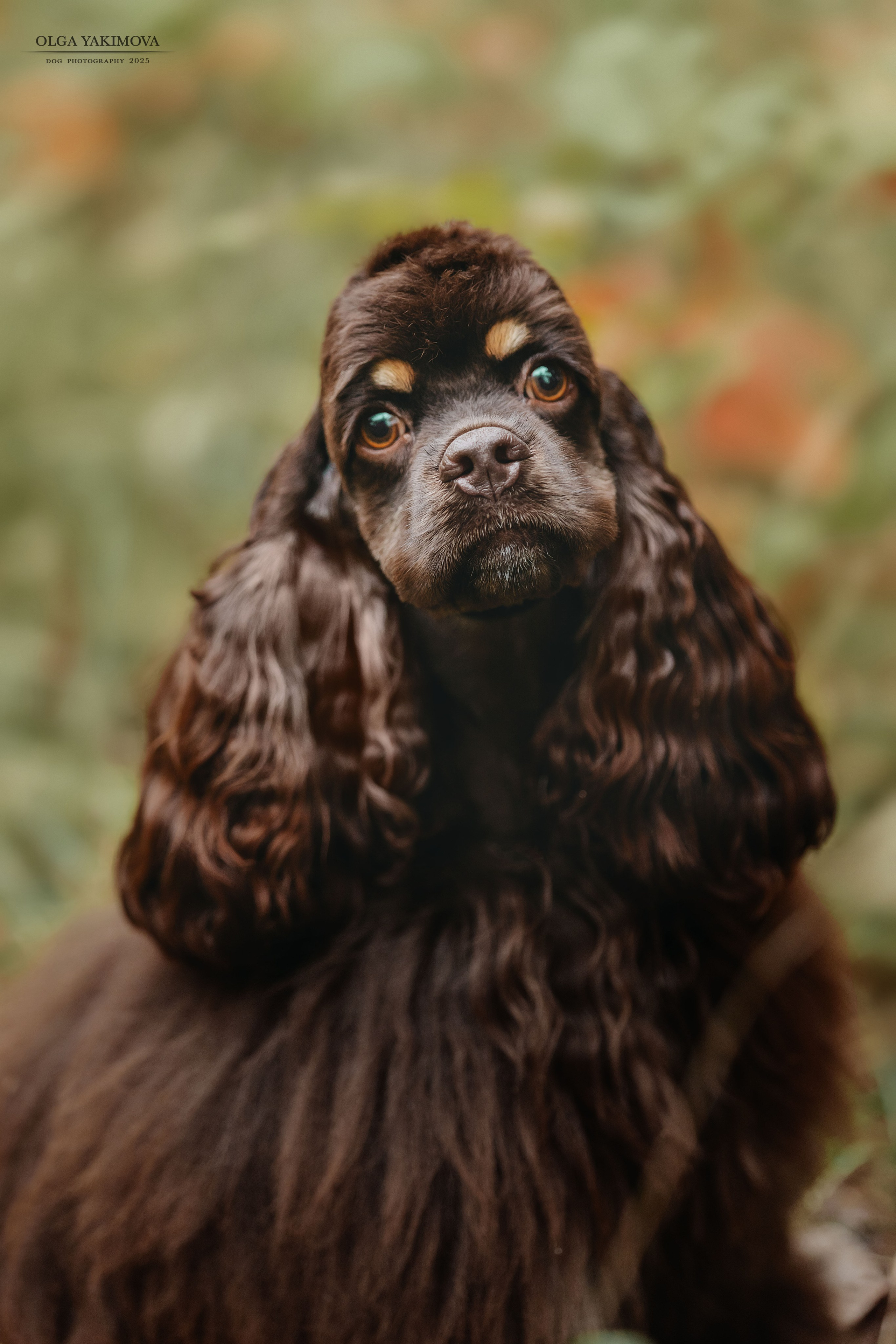 Экстерьер. Фотограф