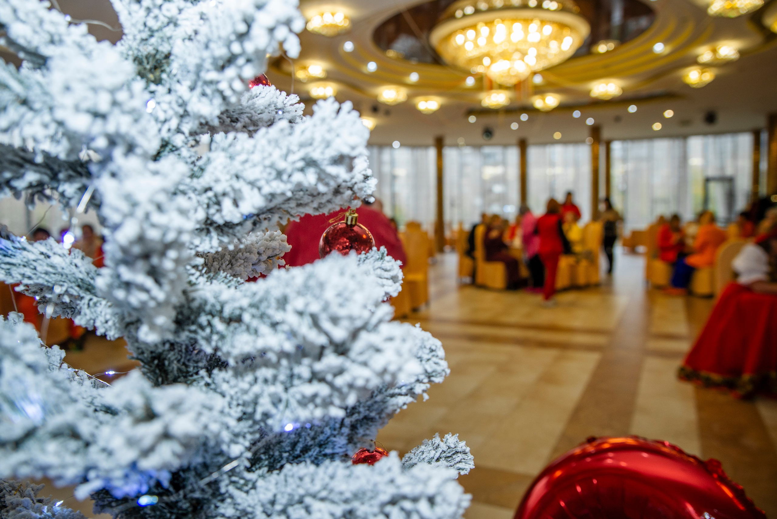 МК «Рыжий БУМ». Фотограф в Ветлуге Сергей Белов (VETLUGA B.S.)