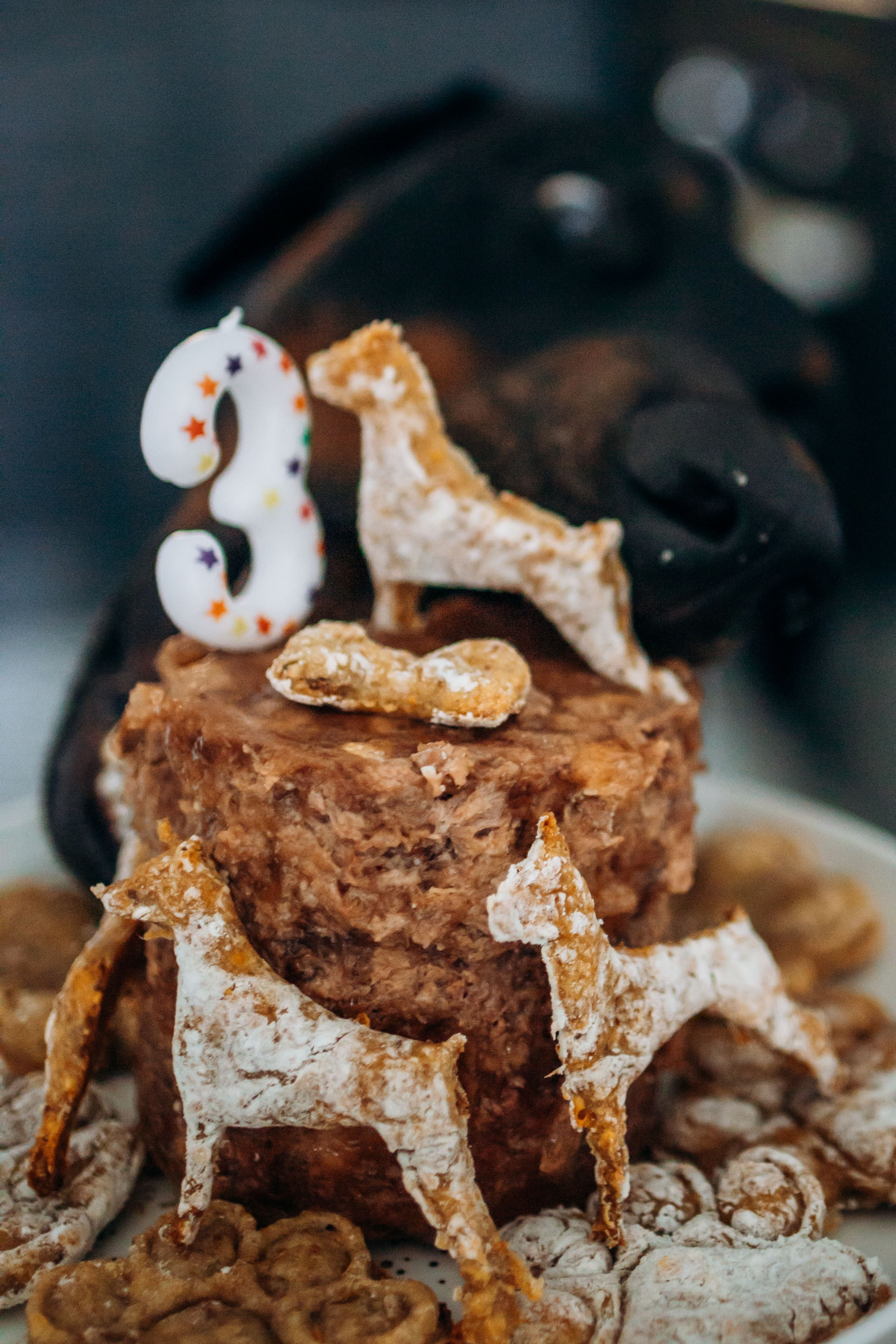 Катя и Конор