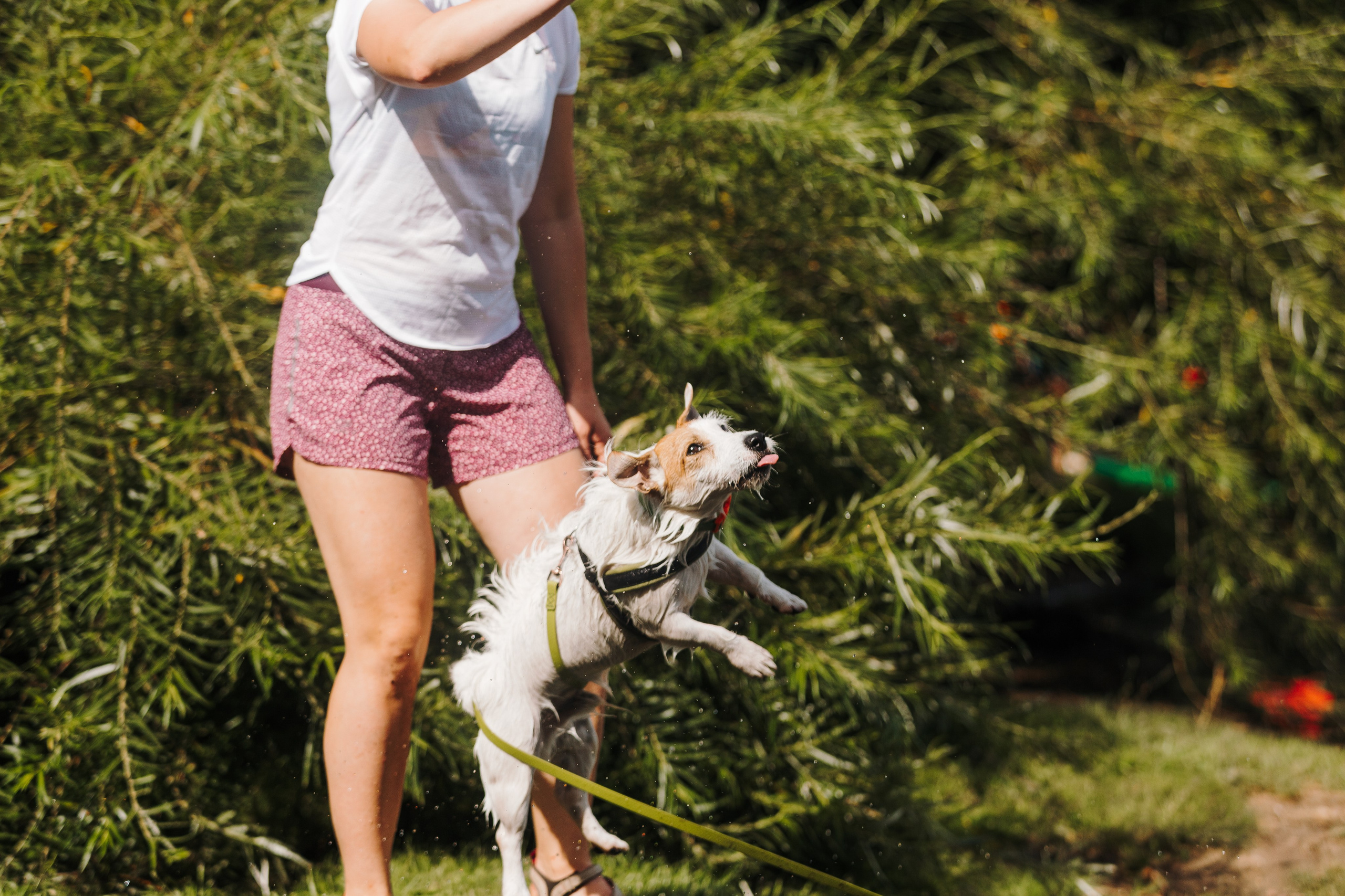 Petshop Sup day. Фотограф анималист Кристина Карпова, Москва