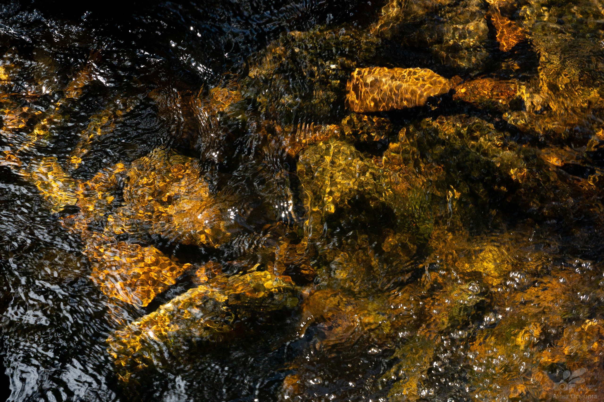 Шерегеш 2023. Фотограф в Кемерово Анна Оськина