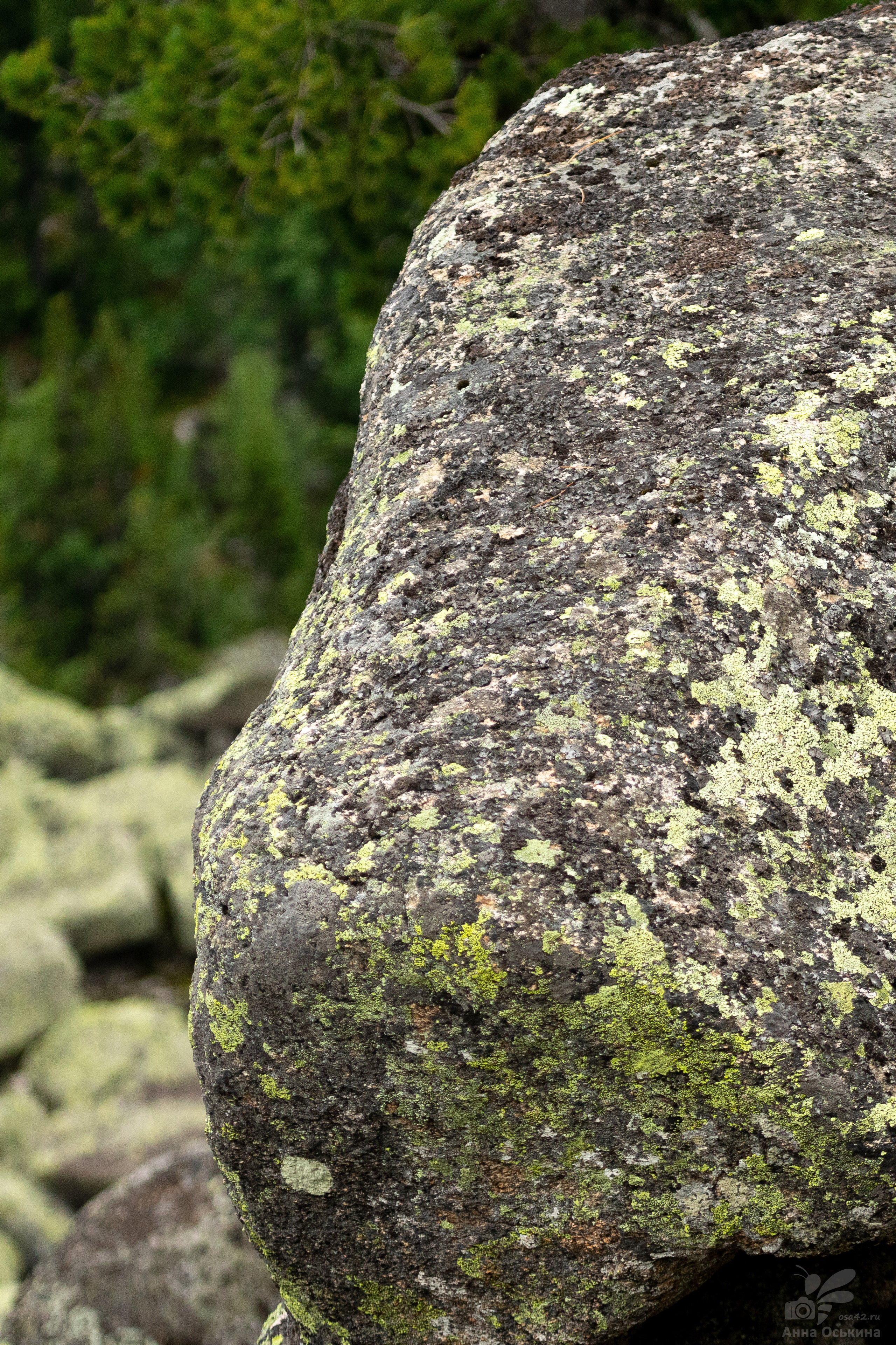 Шерегеш 2023. Фотограф в Кемерово Анна Оськина