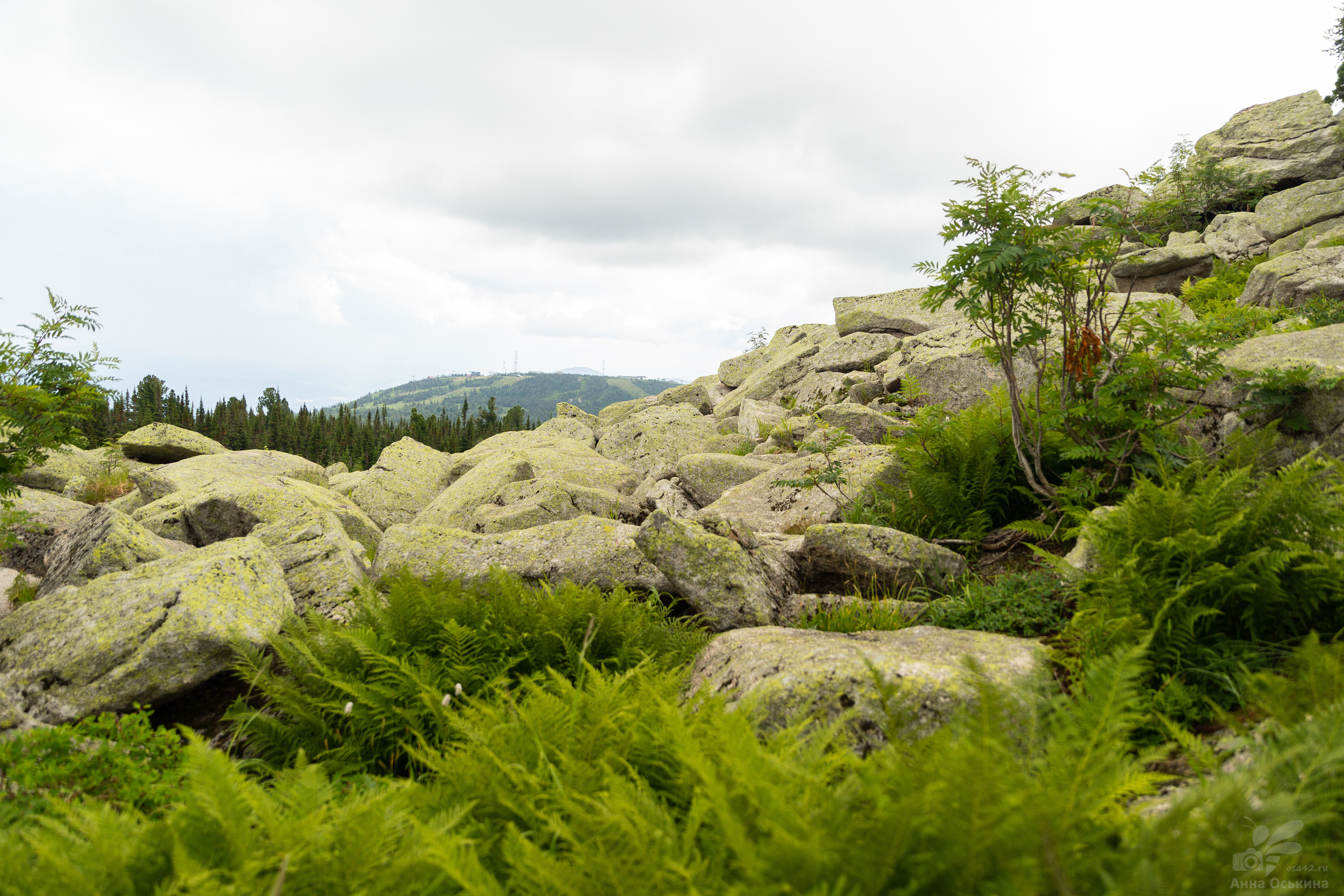 Шерегеш 2023. Фотограф в Кемерово Анна Оськина