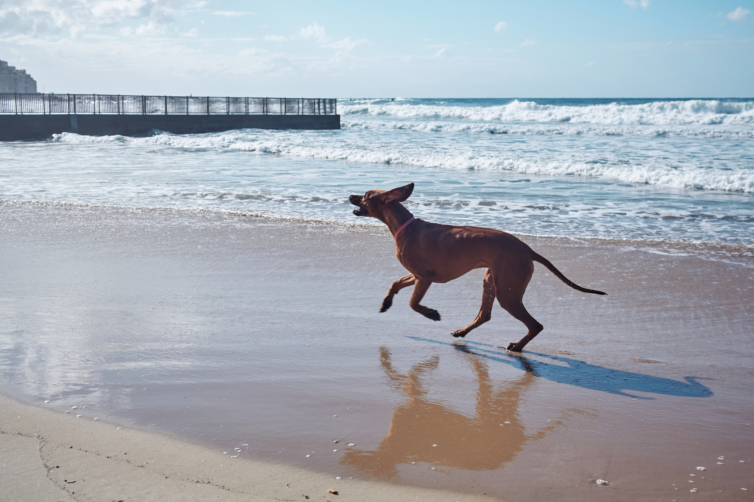 Фотографии Тель-Авива | Филипп Линзин. Репортажный и портретный фотограф в Санкт-Петербурге Филипп Линзин