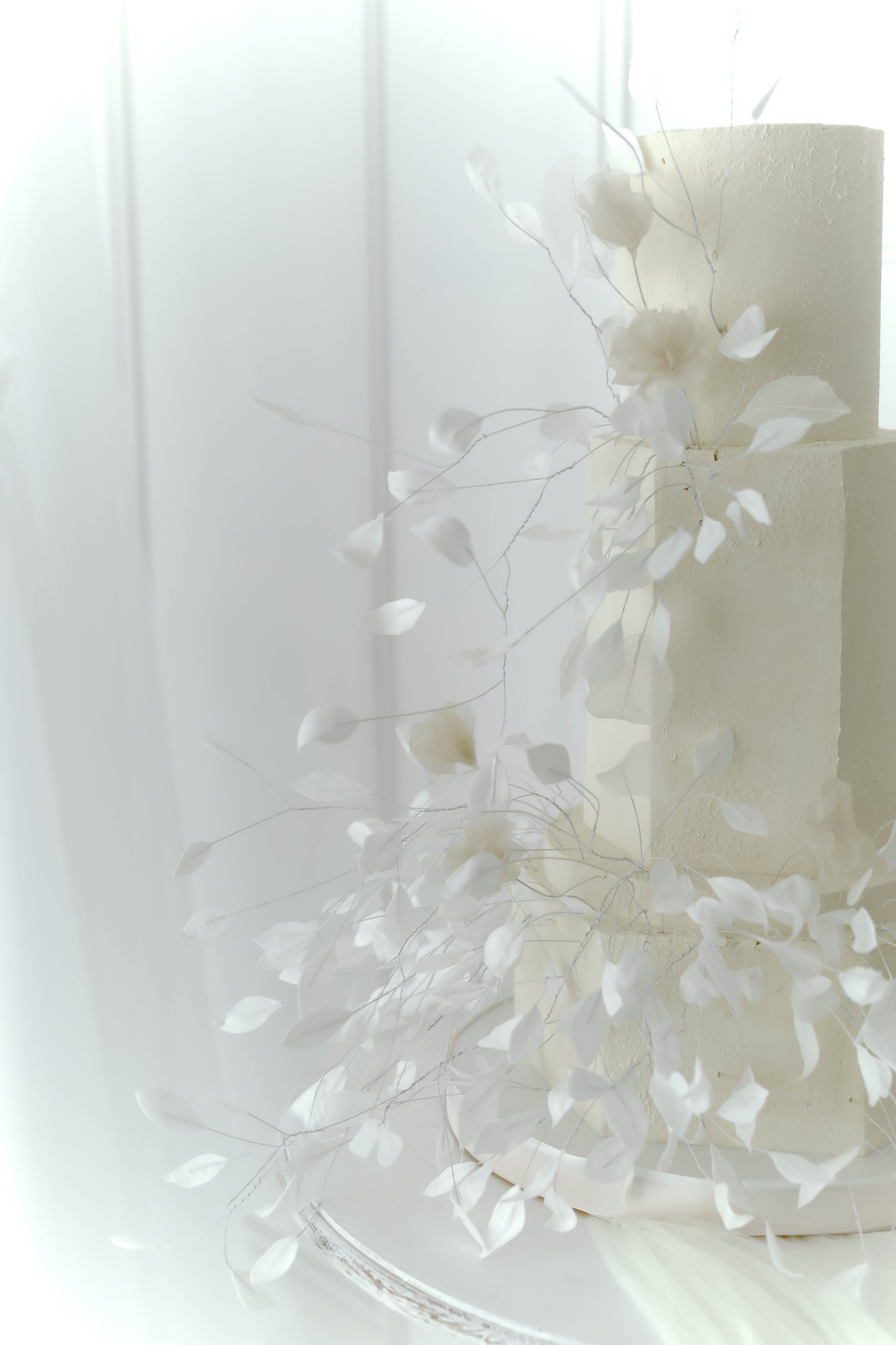 Виктория и Максим.Краснодар. Фотограф Славянск на кубани Краснодар